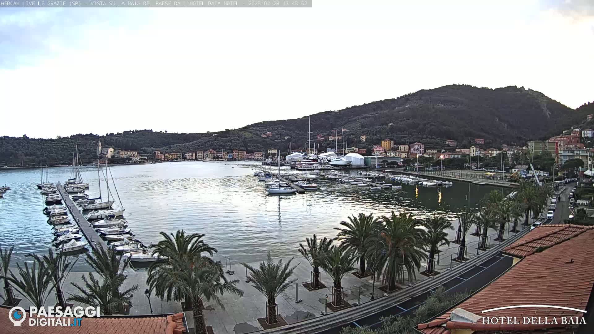 A calm harbor filled with sailboats is nestled in a town on the coast of a tree-covered hill, under a partly cloudy sky.