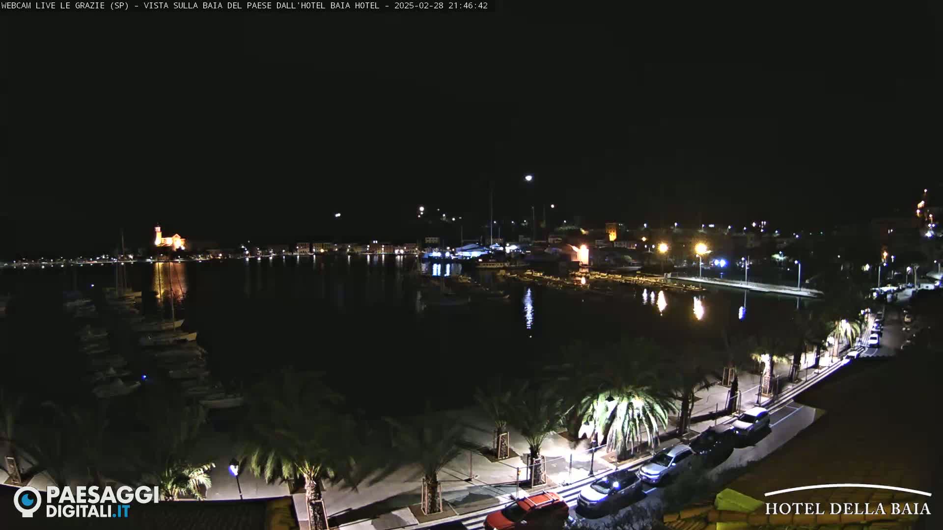 A nighttime view of a harbor filled with boats, lined by palm trees and a roadway with parked cars, under a clear night sky.