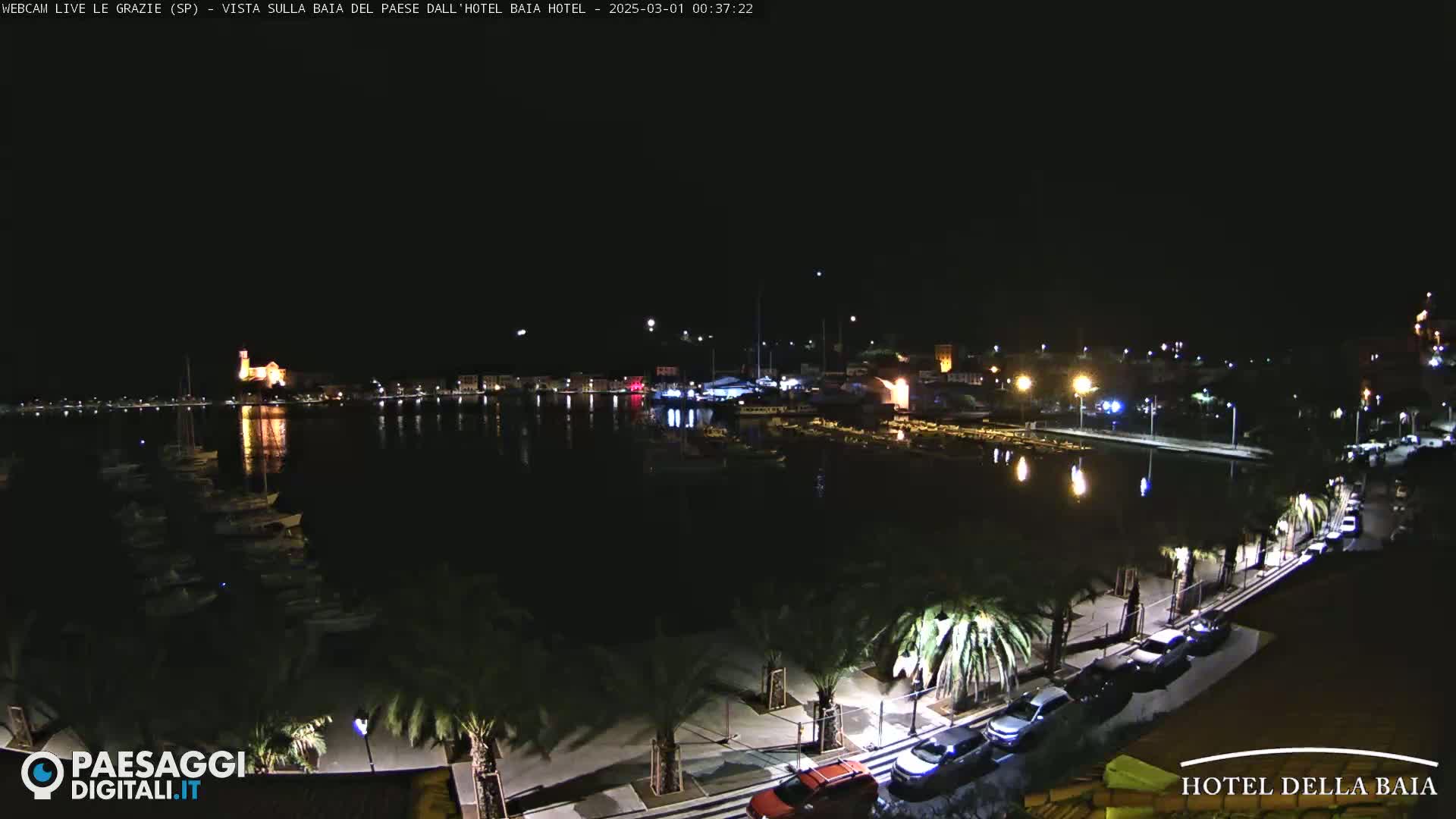 A nighttime view of a harbor with boats, illuminated buildings, and palm trees lining a paved walkway.