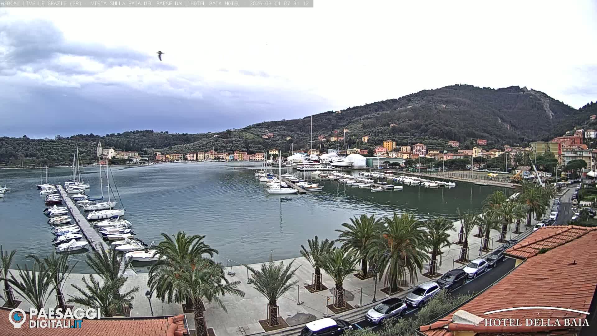 A harbor filled with sailboats and yachts is nestled beside a town situated at the base of a verdant hill under a partly cloudy sky.