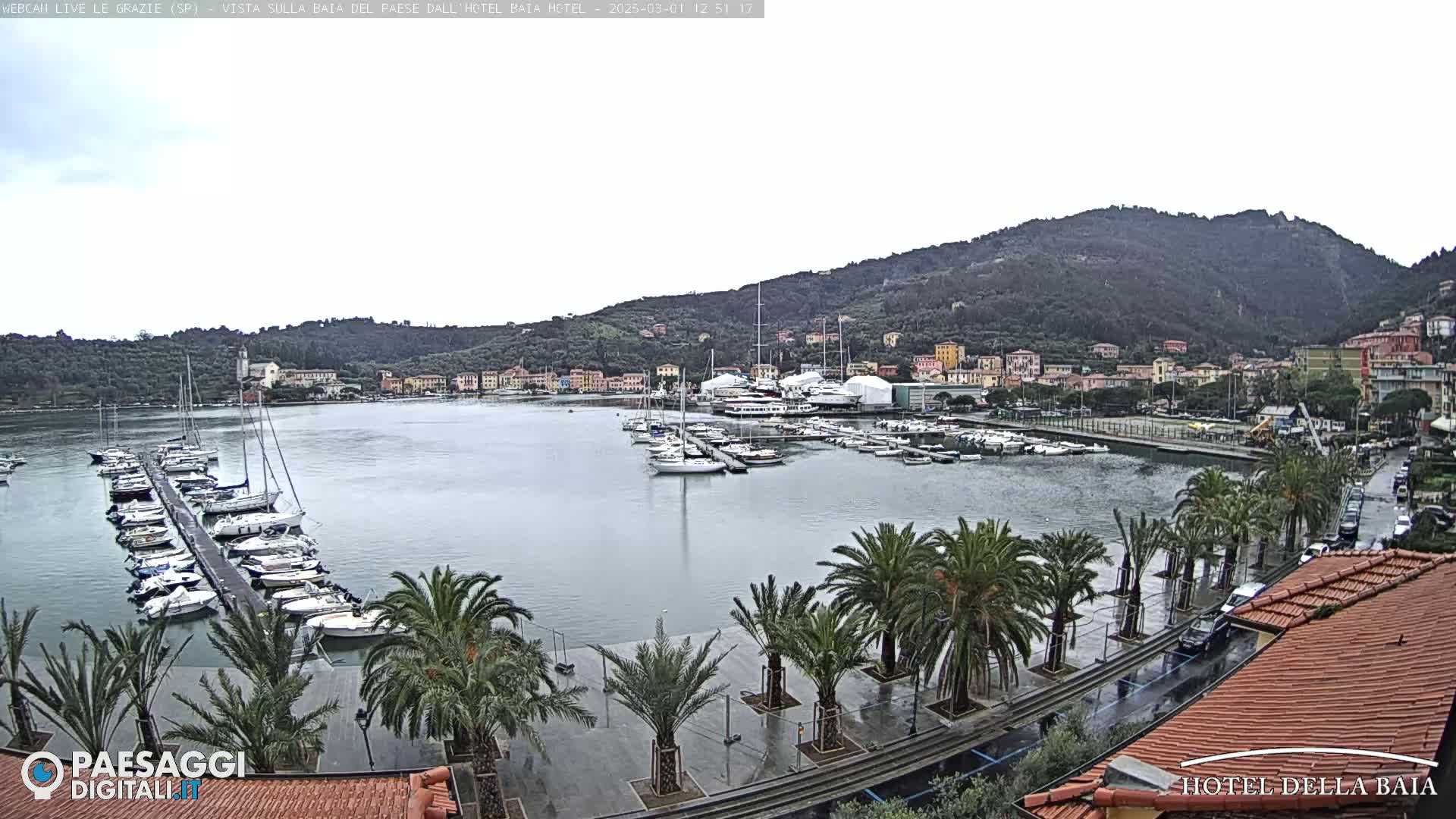 A harbor filled with boats is seen from an elevated viewpoint on a cloudy day, with palm trees lining a wet roadway in the foreground and hills in the background.