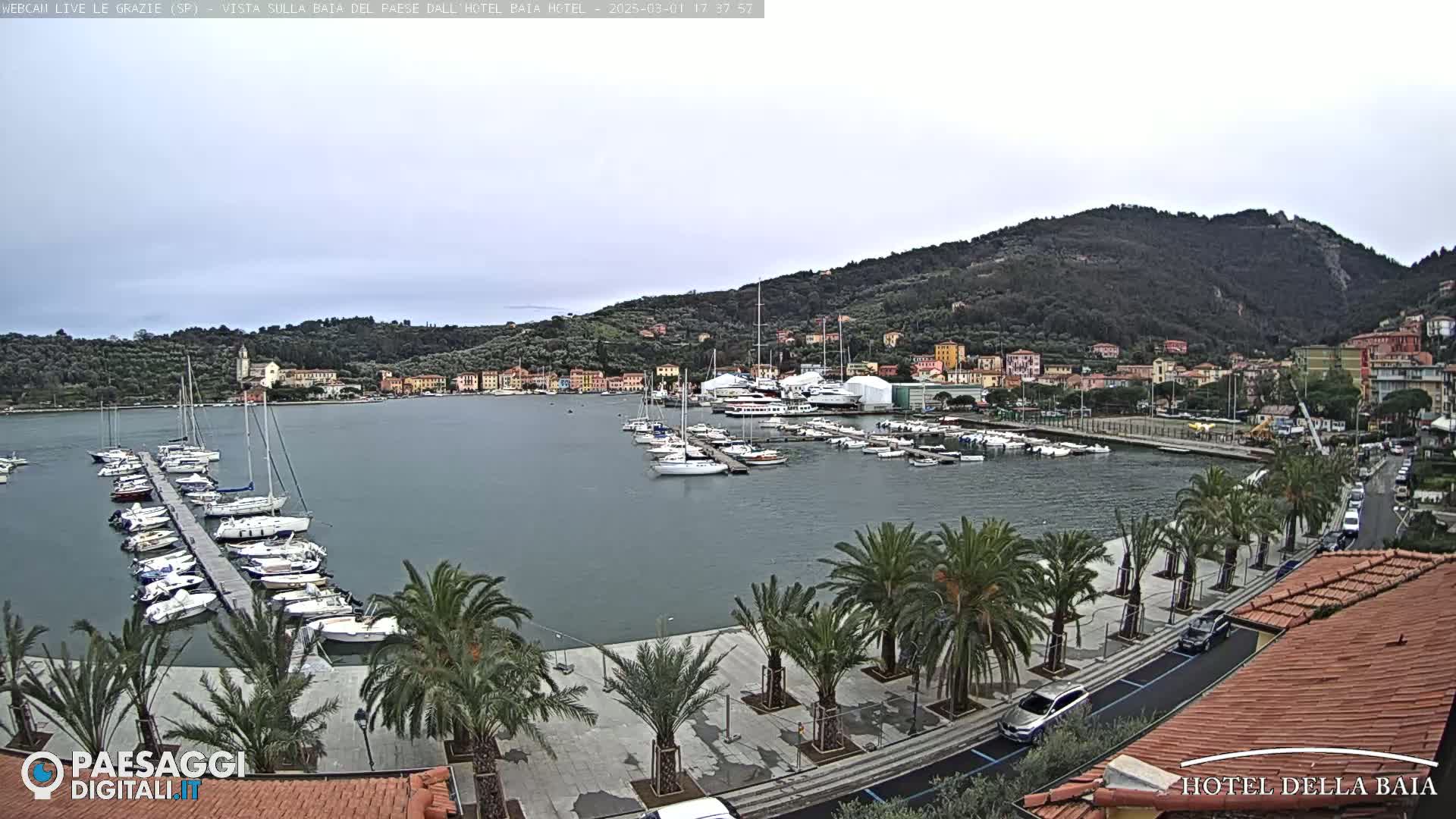 A harbor filled with sailboats and yachts is seen from above, under a cloudy sky, with palm trees lining a paved walkway along the waterfront and a hillside town in the background.