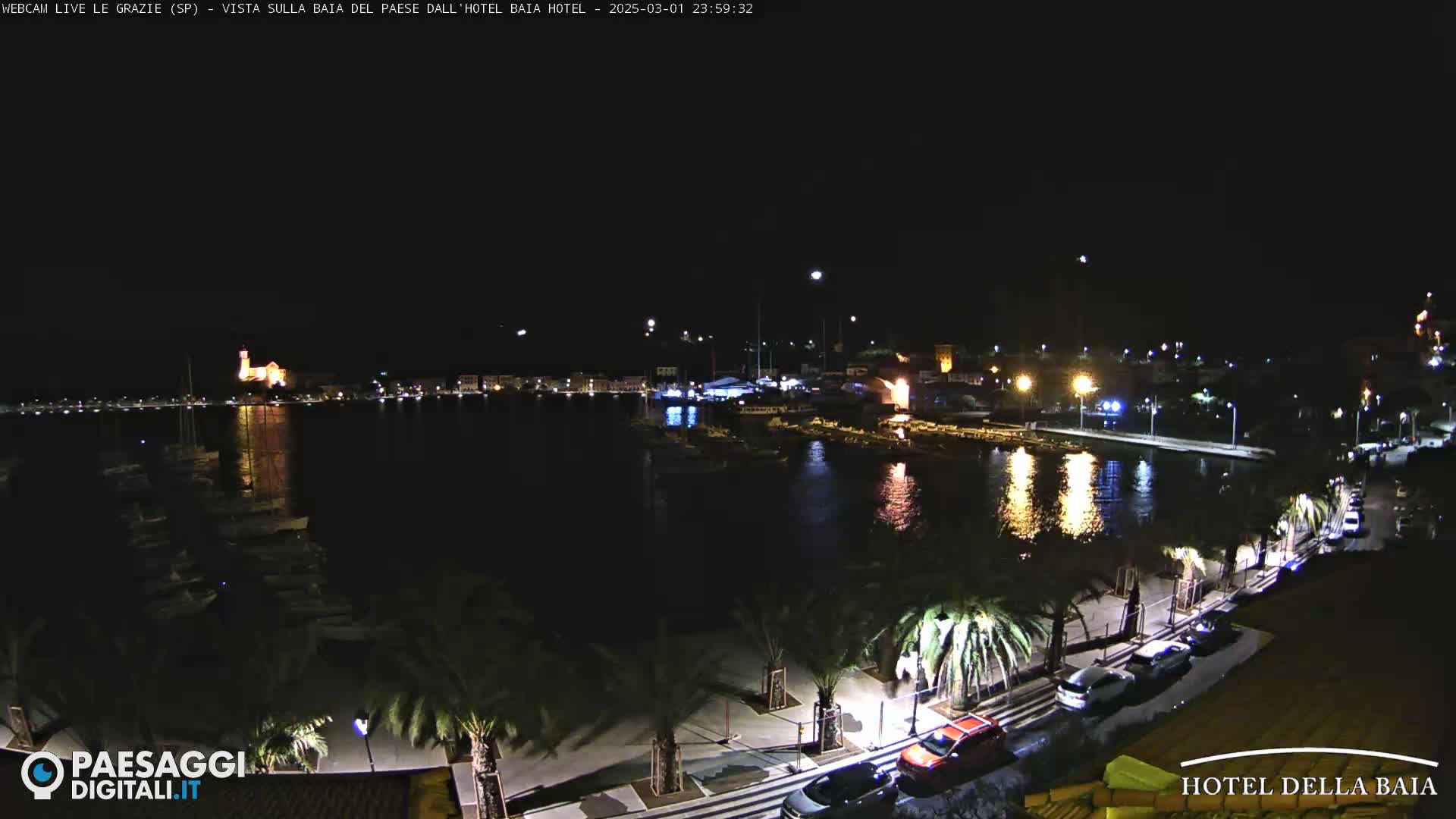 A nighttime view of a harbor town, illuminated by lights reflecting on the calm water, with palm trees lining a paved waterfront road.