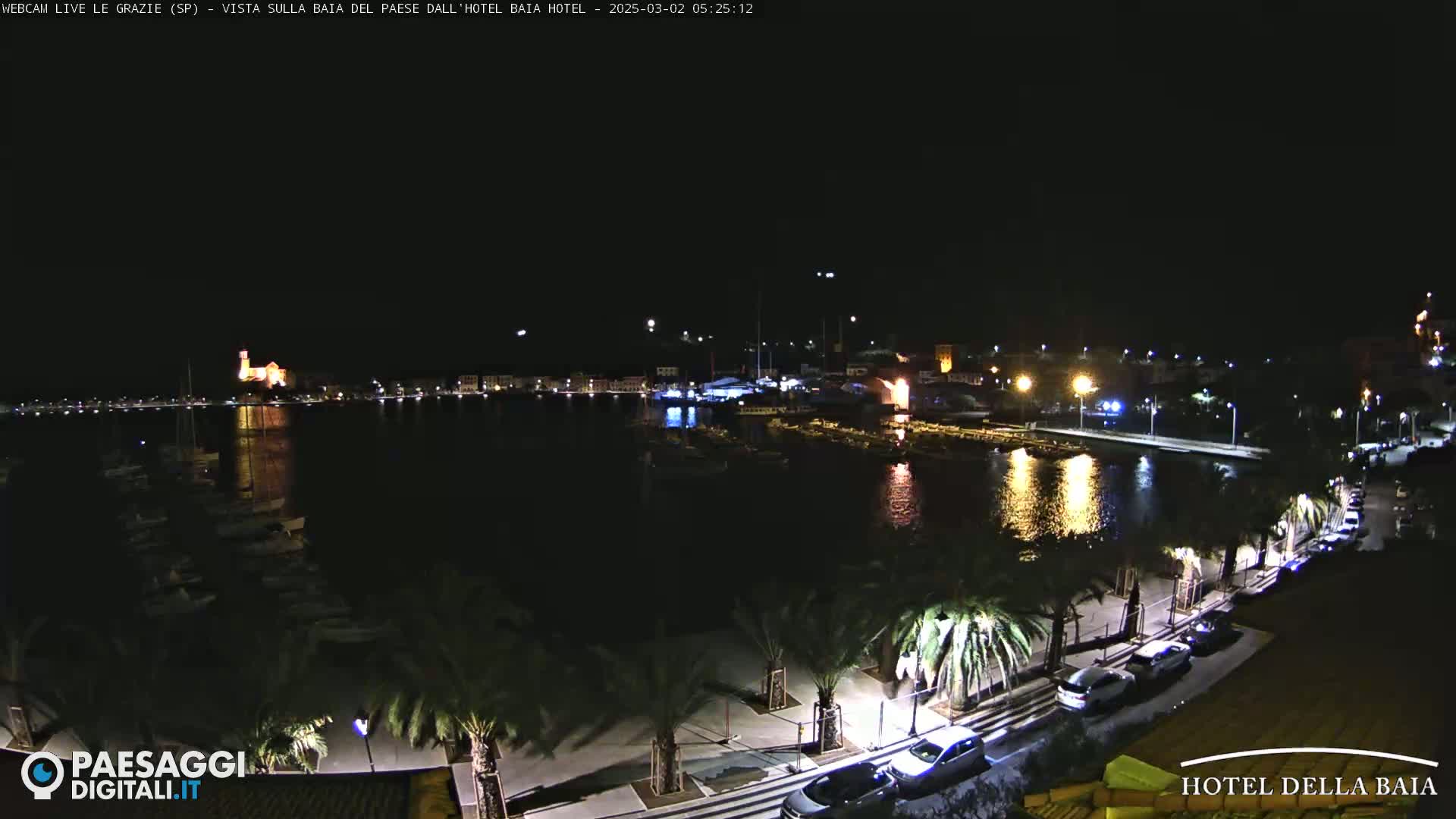A nighttime view of a harbor with boats, palm trees lining a waterfront promenade with cars parked along it, and a town illuminated in the background.