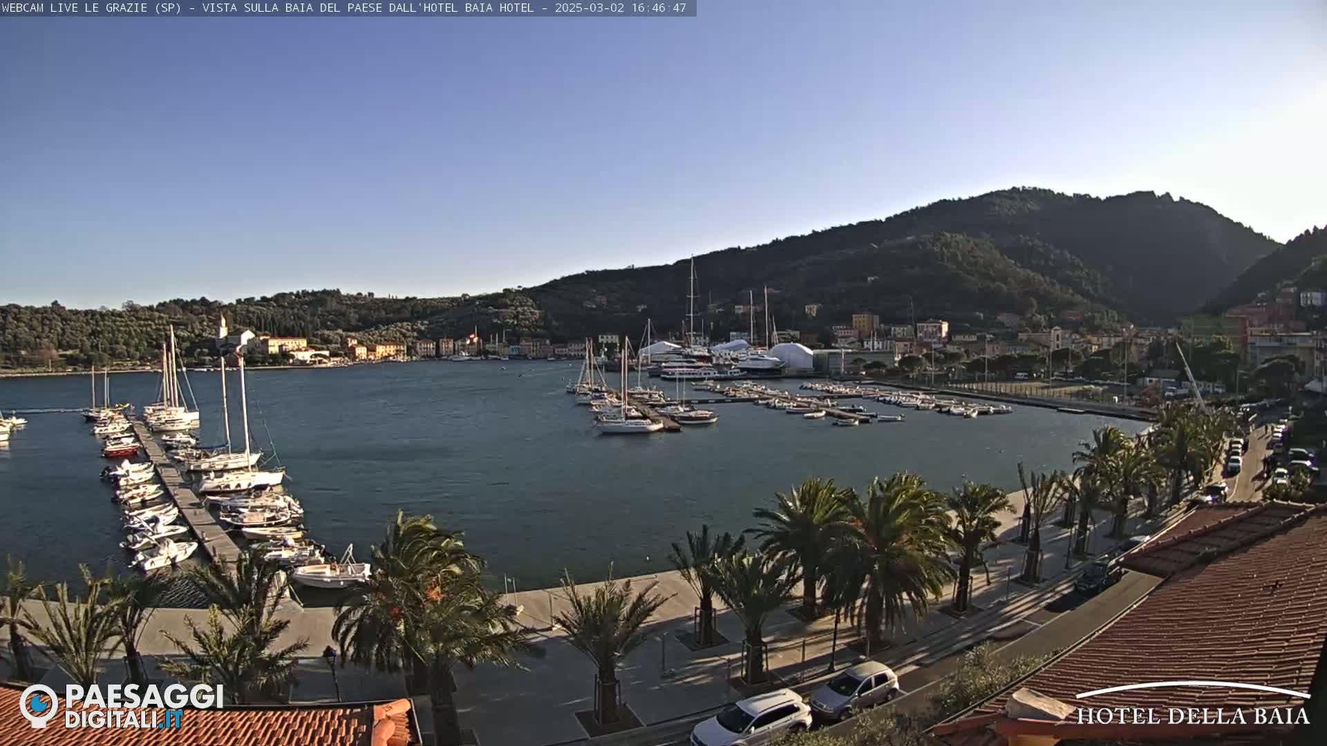 A harbor filled with sailboats and yachts is situated at the foot of a green hill under a clear blue sky.