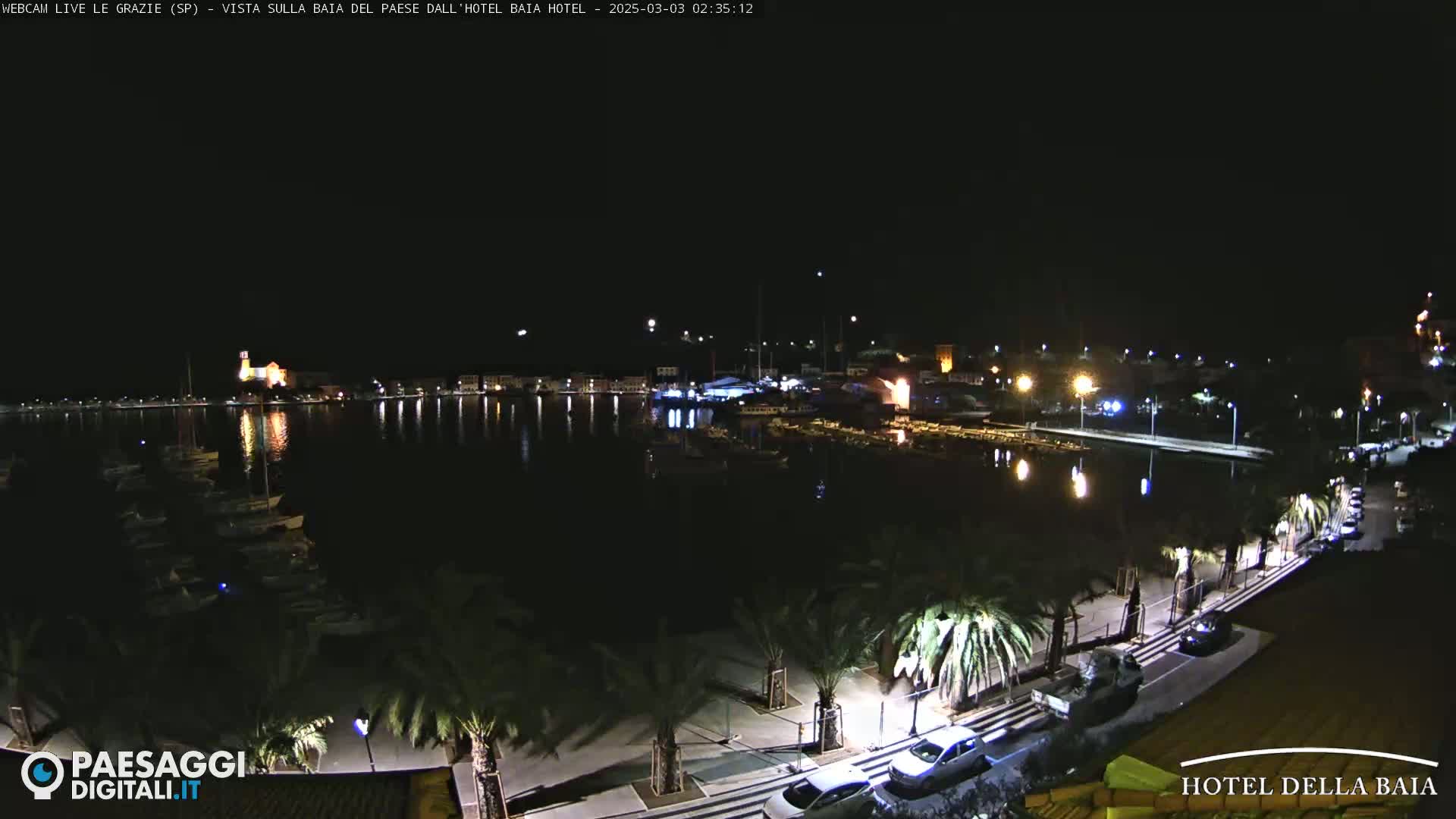 A nighttime view of a harbor filled with boats, lined with palm trees and streetlights, under a clear, dark sky.