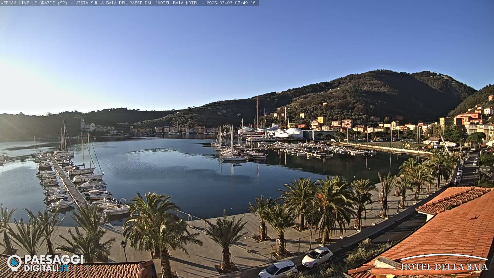 A calm harbor filled with sailboats and motorboats is nestled beside a town situated at the foot of a verdant hill under a clear, sunny sky.