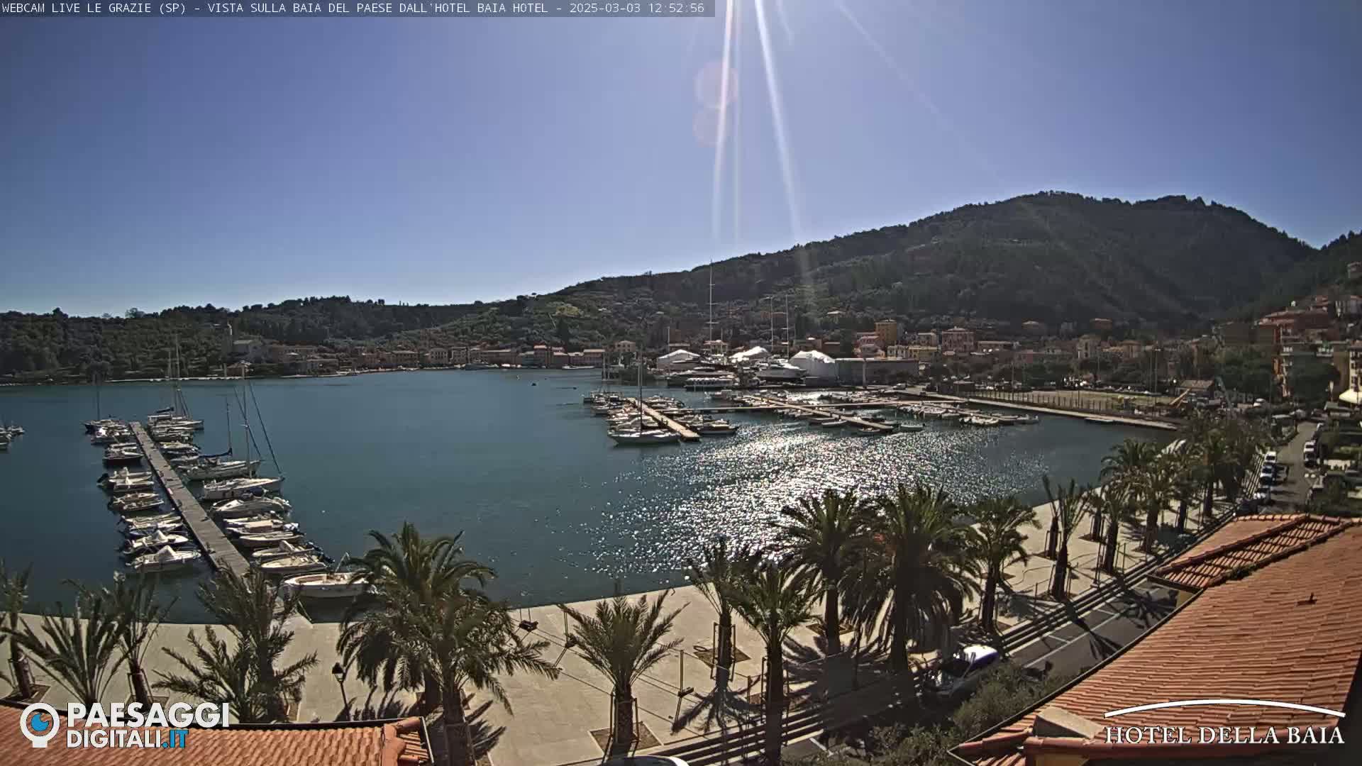 A sunny harbor filled with boats sits below a hillside town under a bright, clear sky.