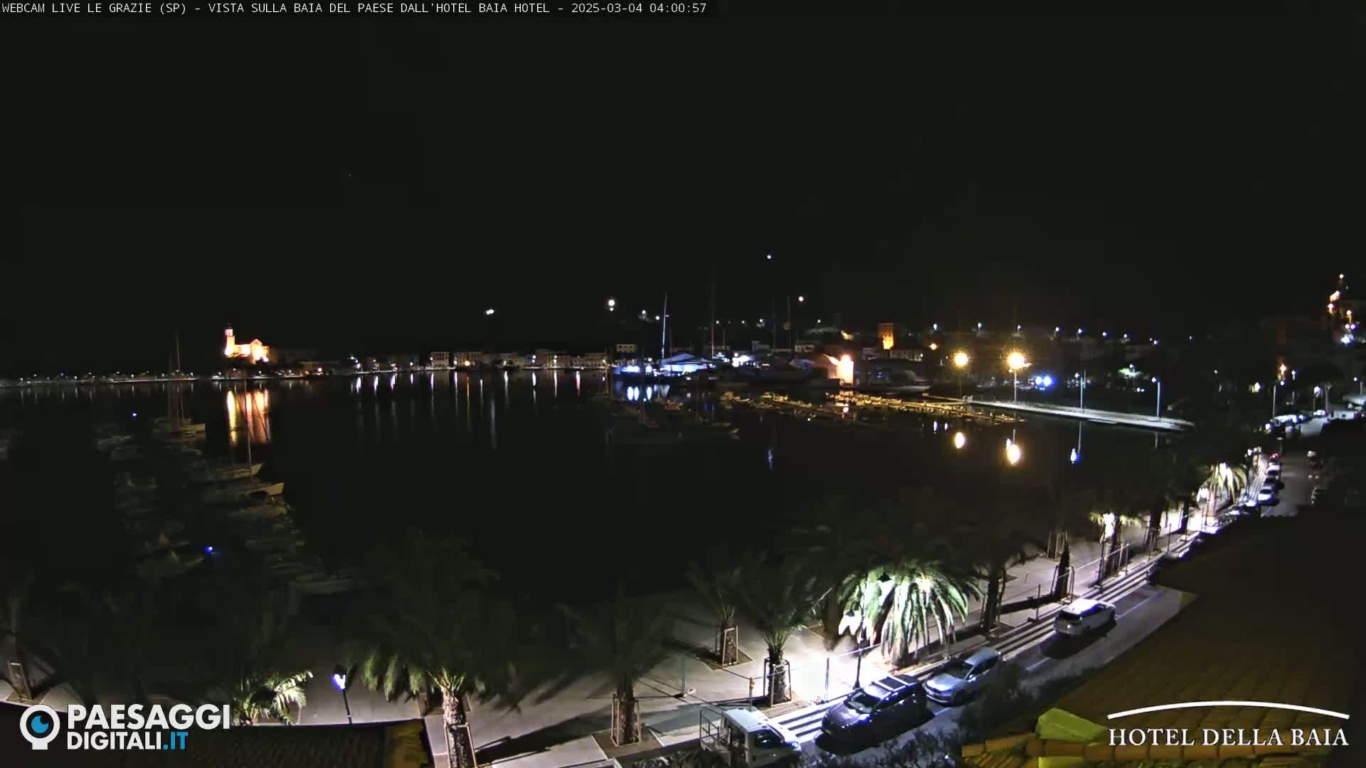 A nighttime view of a harbor filled with boats, a town illuminated by lights, and a palm tree-lined walkway along the waterfront under a clear, dark sky.