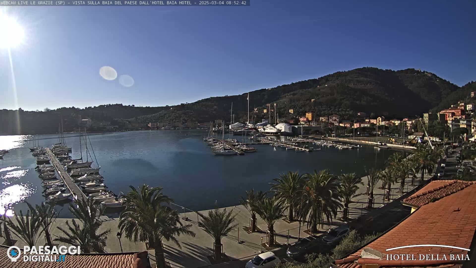 A sunny harbor filled with boats is nestled below a hillside town, palm trees lining the waterfront promenade.