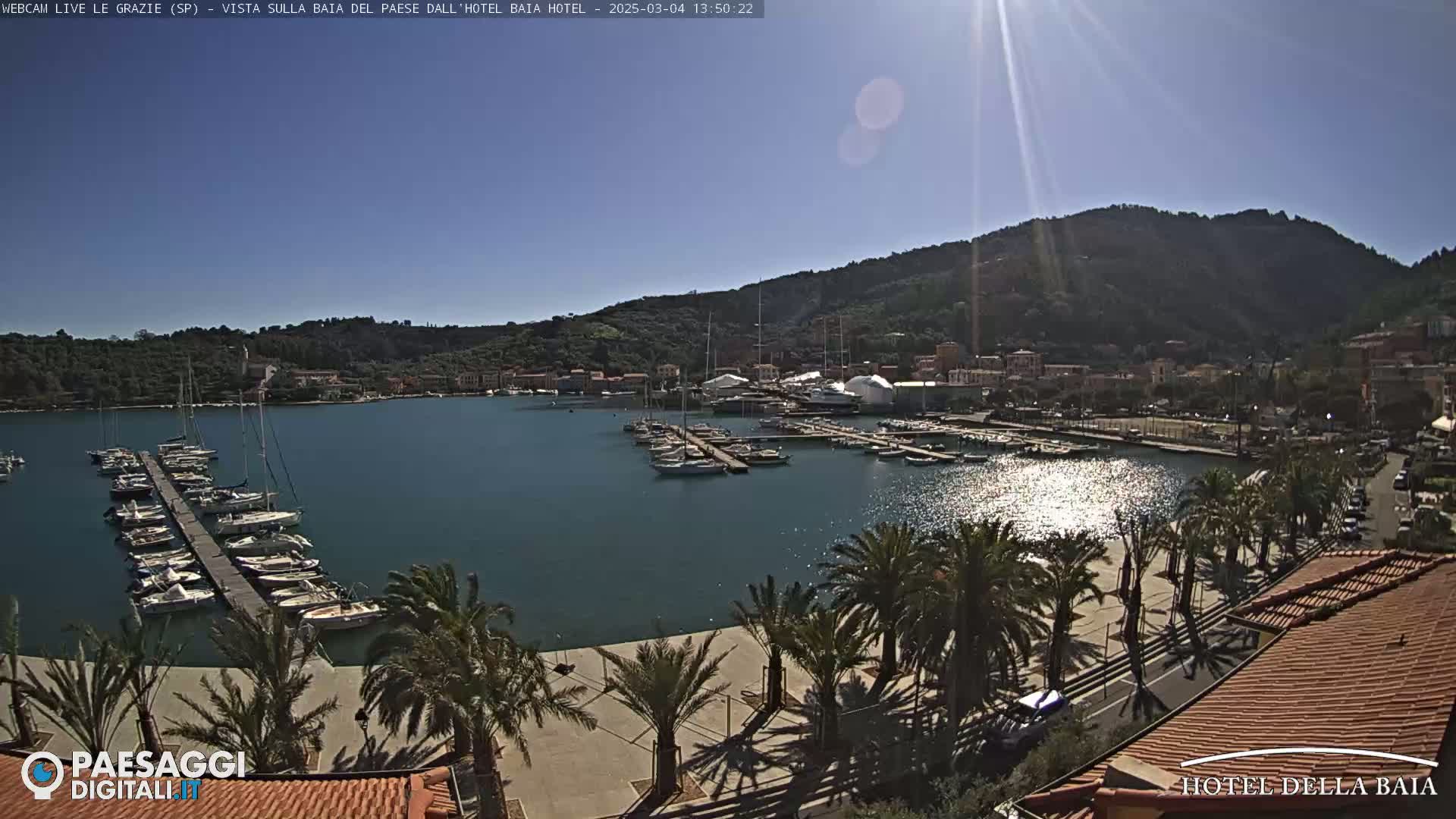 A sunny harbor scene shows numerous boats moored at a pier, palm trees lining a paved walkway, and a hillside town nestled against a mountain in the background.