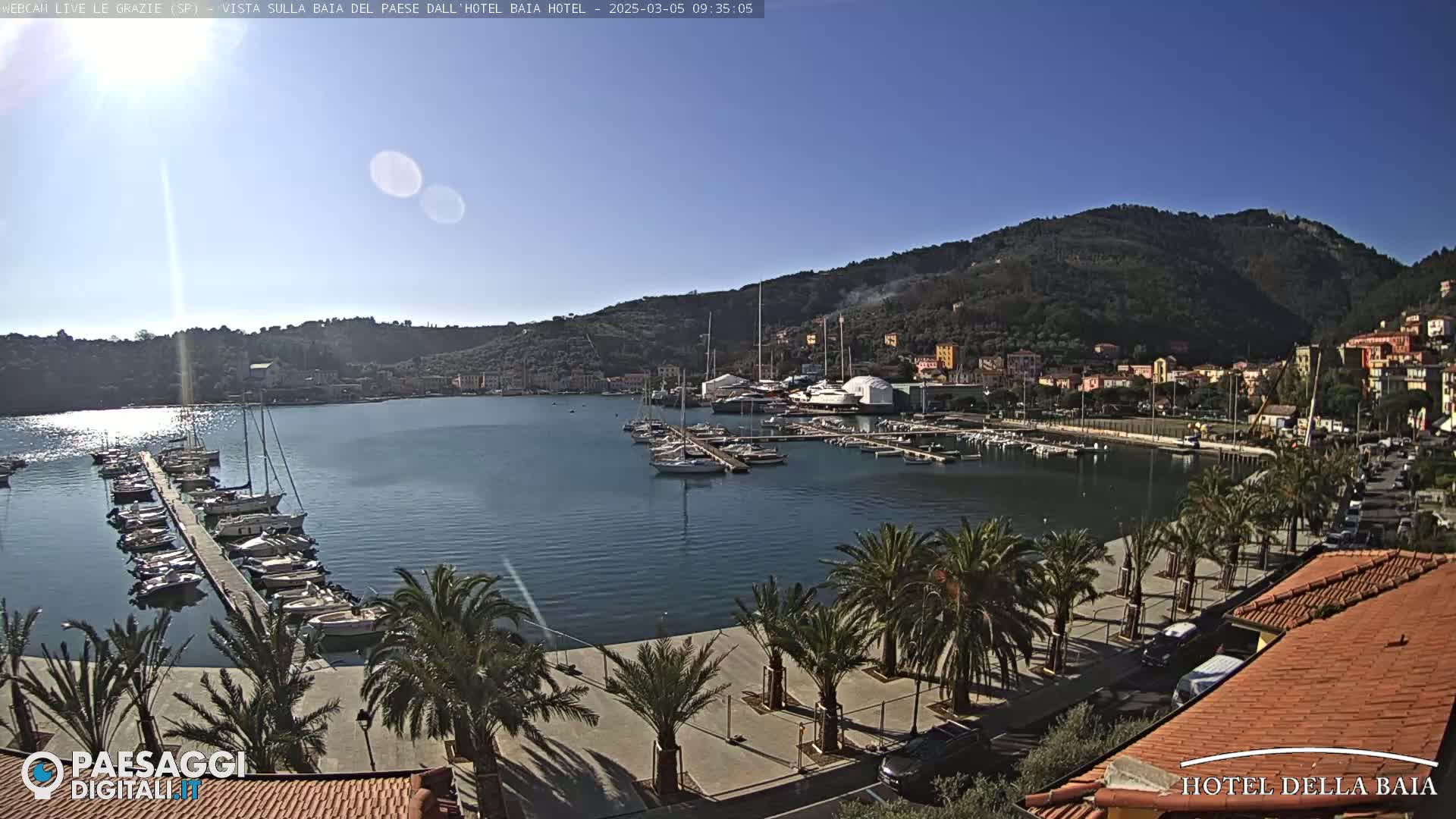 A sunny harbor filled with sailboats and yachts is nestled between a palm tree-lined walkway and a hillside town.