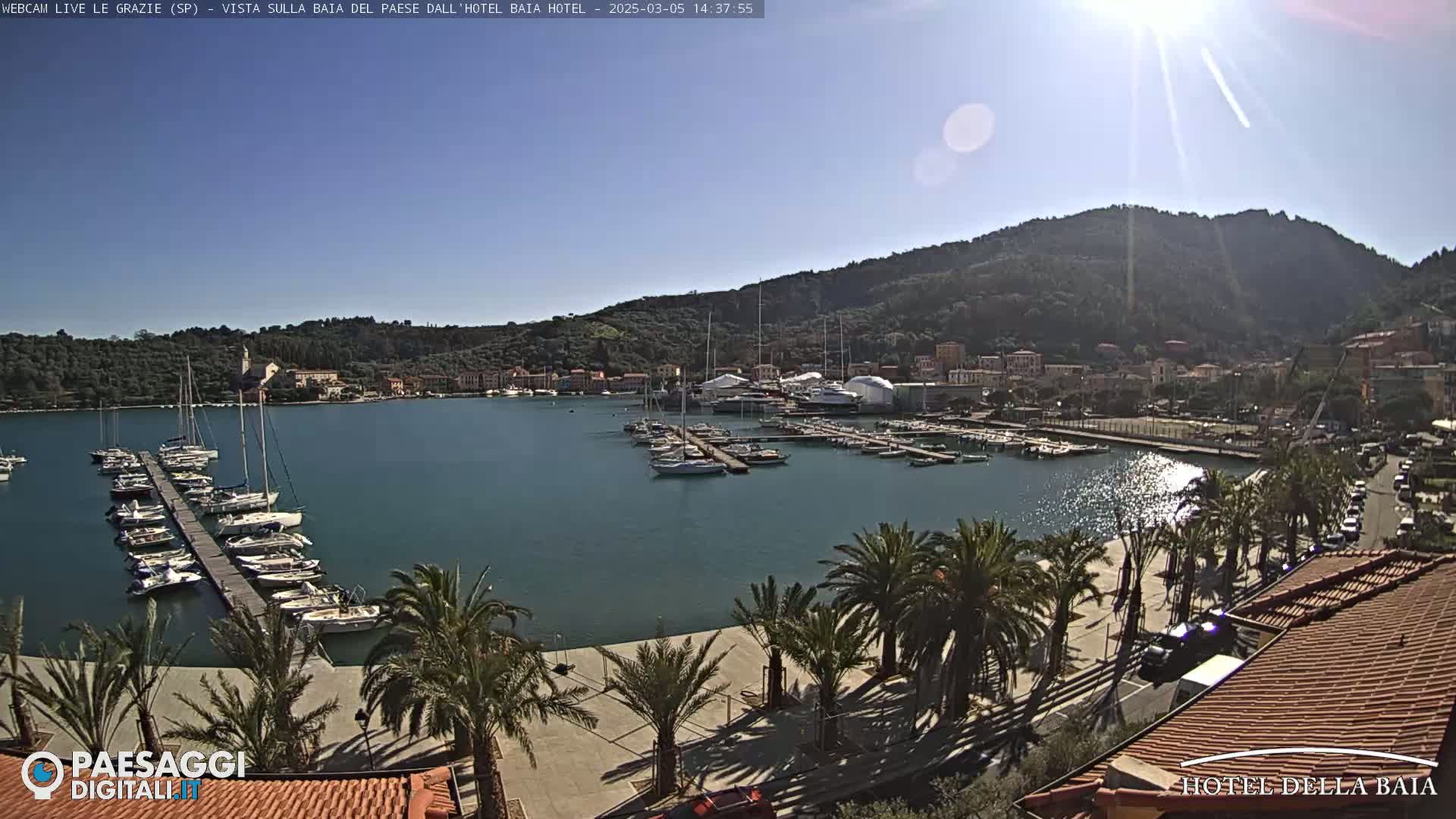 A sunny harbor scene shows a calm body of water filled with sailboats docked at a pier, surrounded by palm trees, buildings, and a hill in the background.