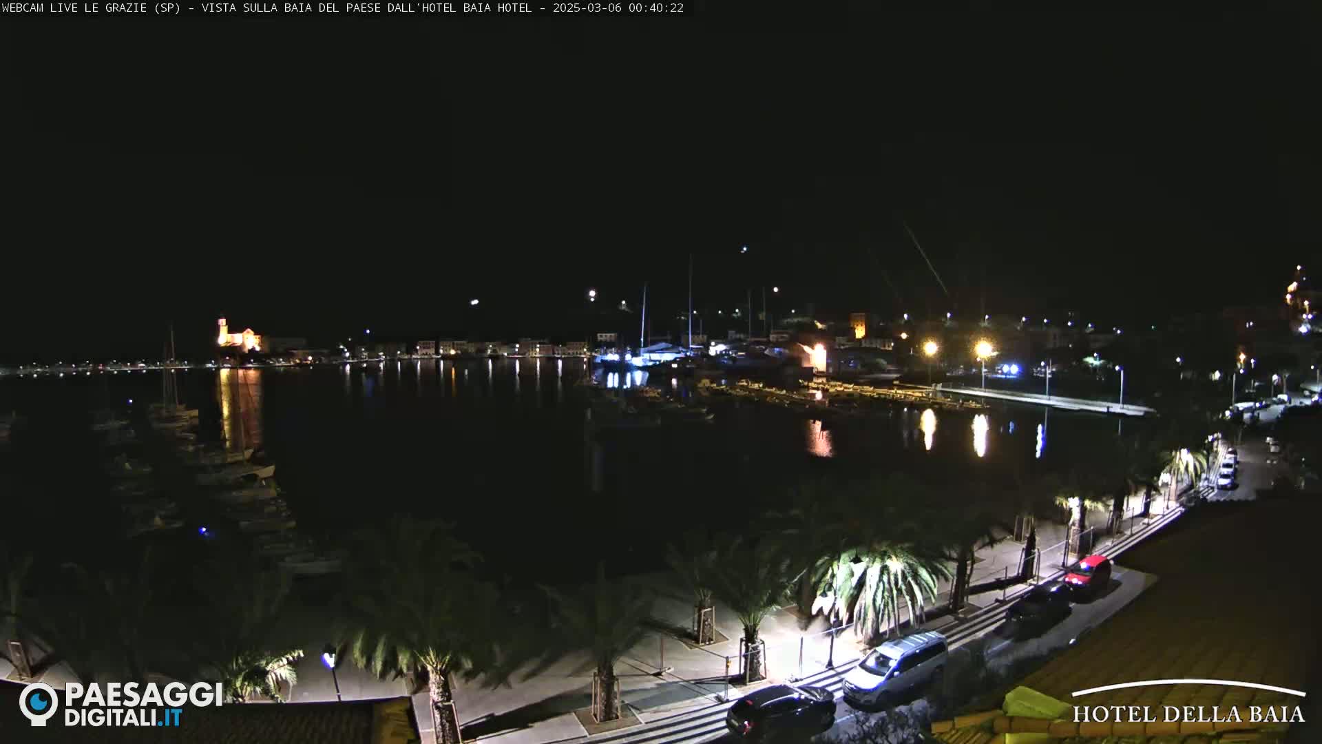 A nighttime view of a harbor with boats, palm trees lining a paved waterfront, and buildings illuminated across the water under a clear, dark sky.
