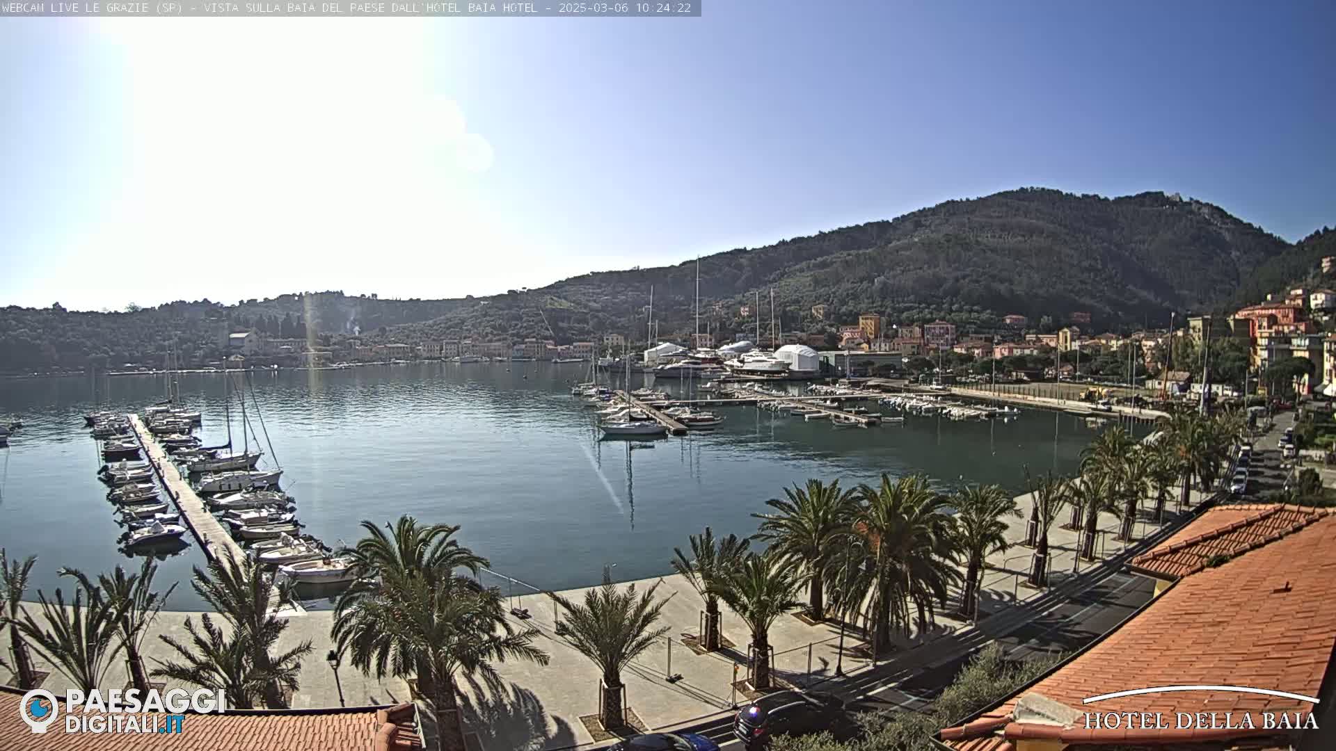 A harbor filled with boats is seen from an elevated viewpoint on a sunny day, with palm trees lining a paved walkway leading to the water's edge and hills in the background.