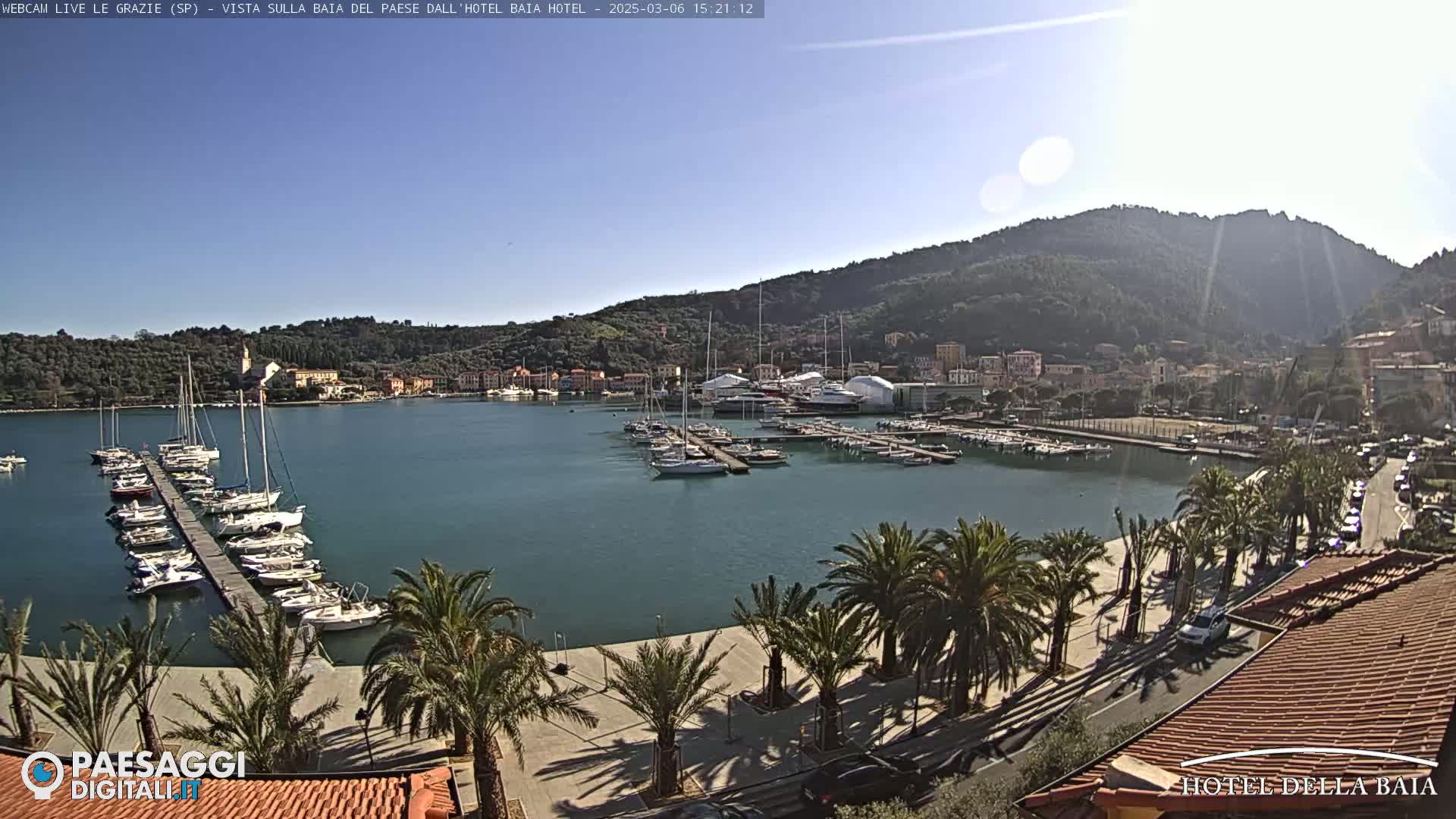 A sunny harbor scene shows numerous boats docked at piers, palm trees lining a paved walkway, and a town nestled against hills in the background.