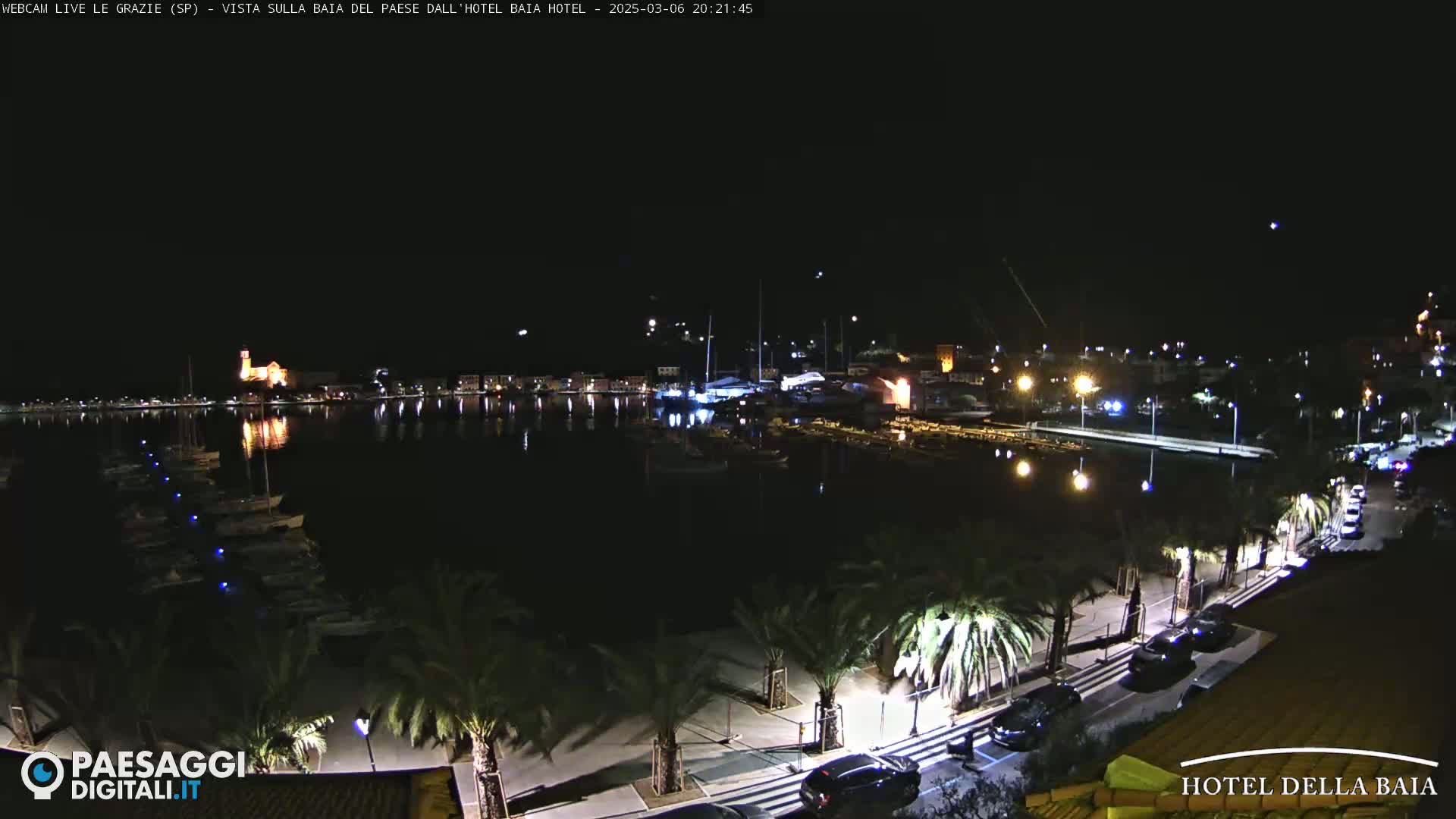 A nighttime view of a harbor, with boats moored and lights illuminating a waterfront promenade lined with palm trees.