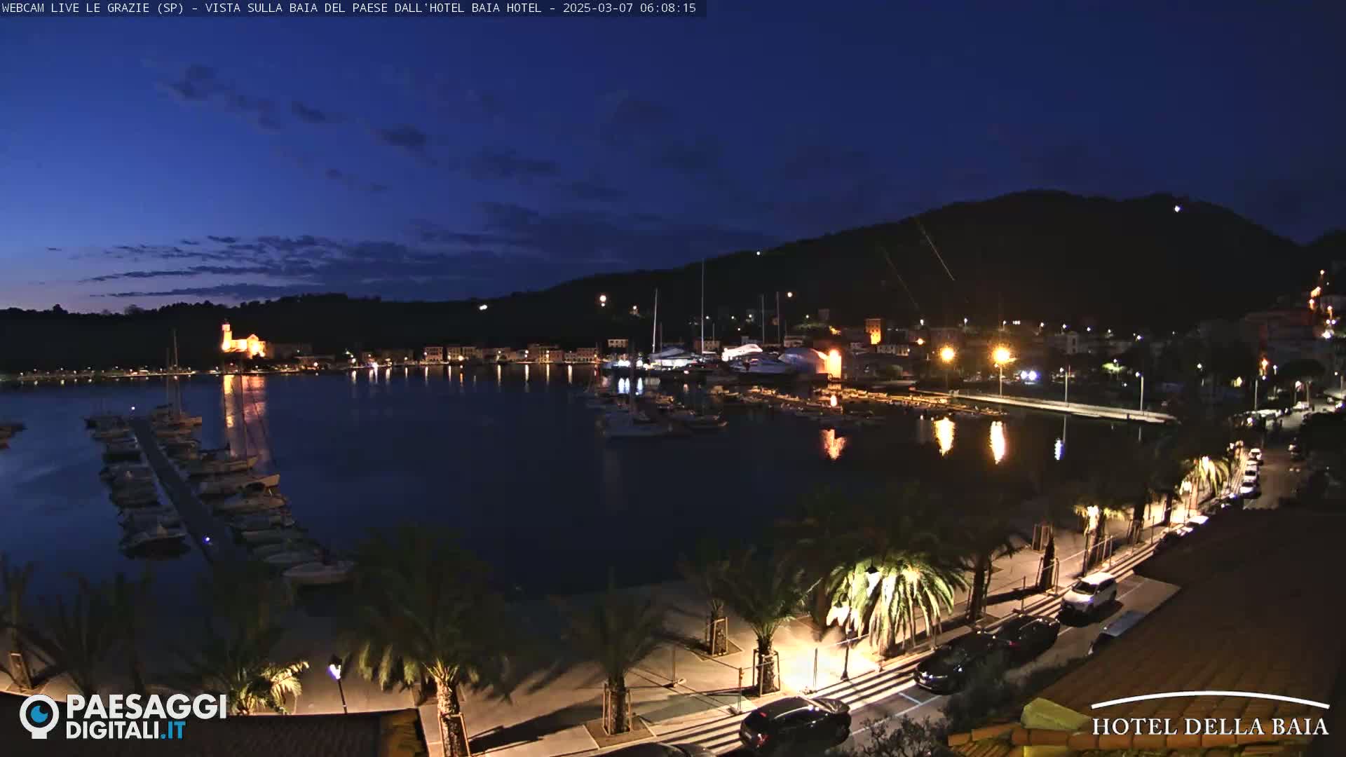A nighttime view of a harbor filled with boats, lined with palm trees and illuminated buildings, under a dark blue, twilight sky.