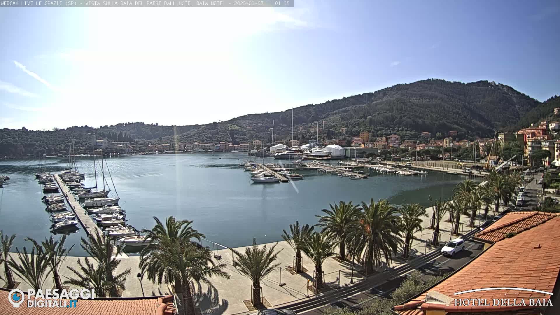 A harbor filled with sailboats and yachts is nestled beside a town situated at the foot of a verdant mountain under a bright, sunny sky.