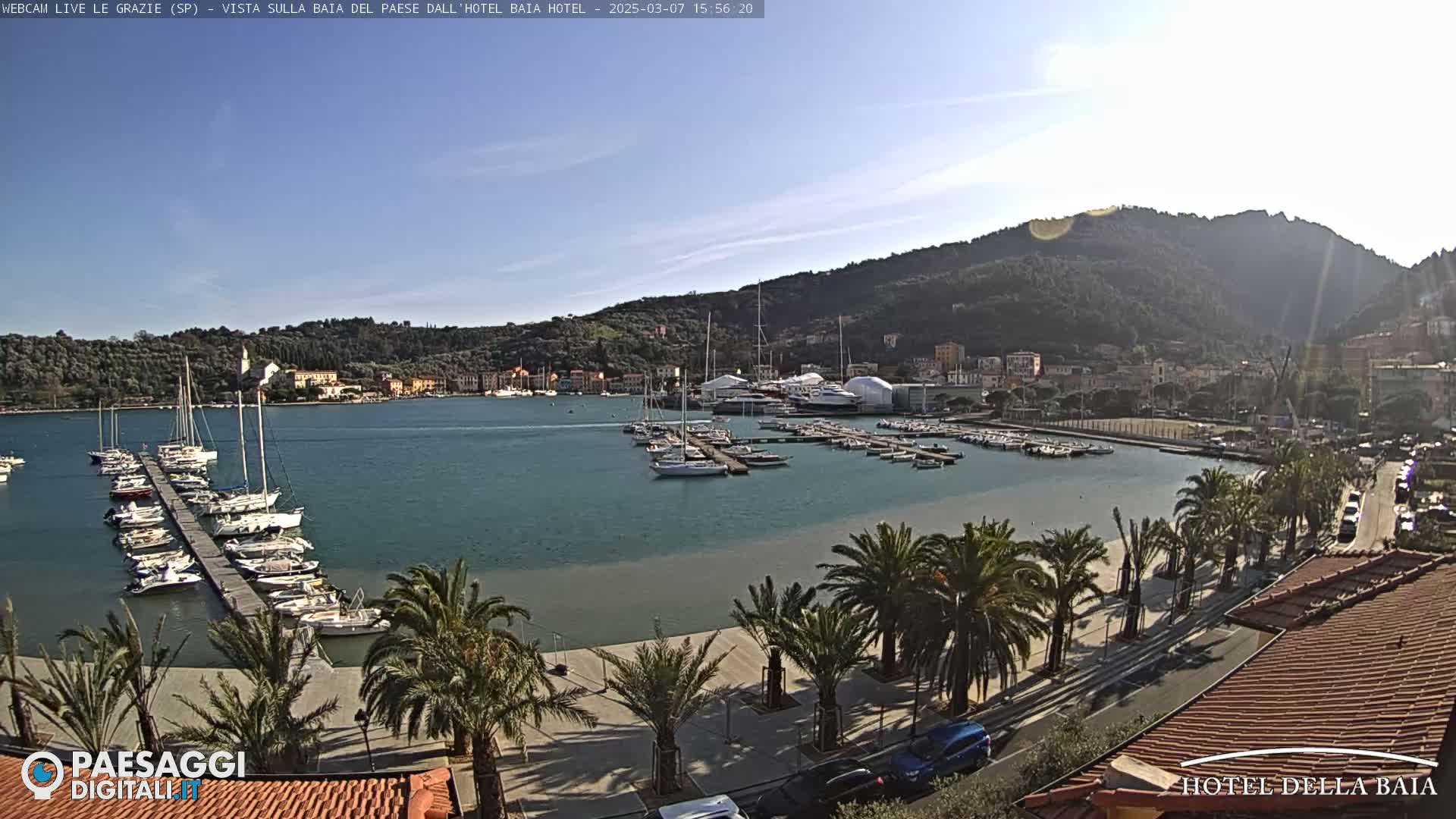 A harbor filled with sailboats is situated below a hillside town under a clear, sunny sky.