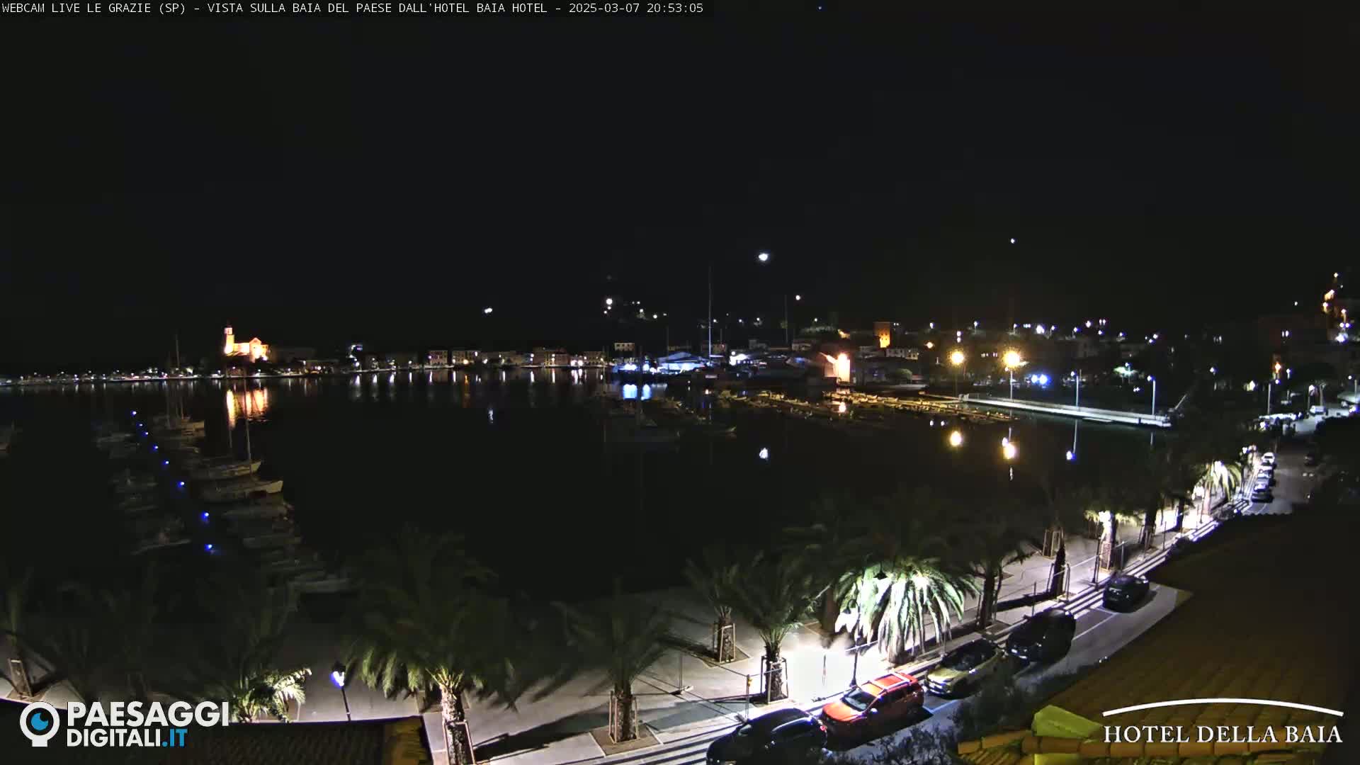 A nighttime view of a harbor filled with boats, lined by palm trees and cars parked along a waterfront path, under a clear, dark sky.