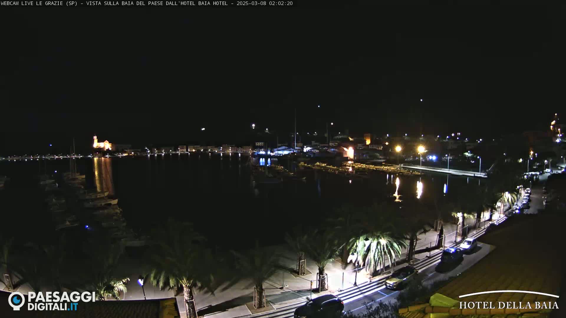 A nighttime view of a harbor with boats, palm trees lining a paved walkway, and cars parked along the roadside under a clear, dark sky.