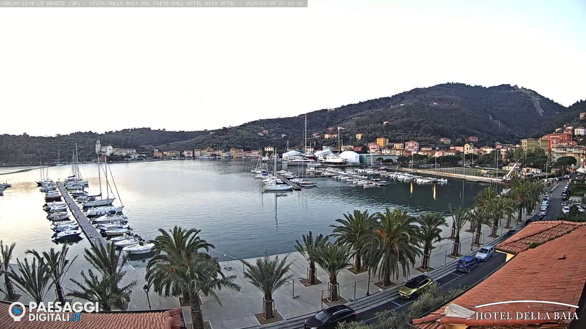 A calm harbor filled with sailboats and yachts is situated beneath a hill dotted with buildings, all under a clear, twilight sky.