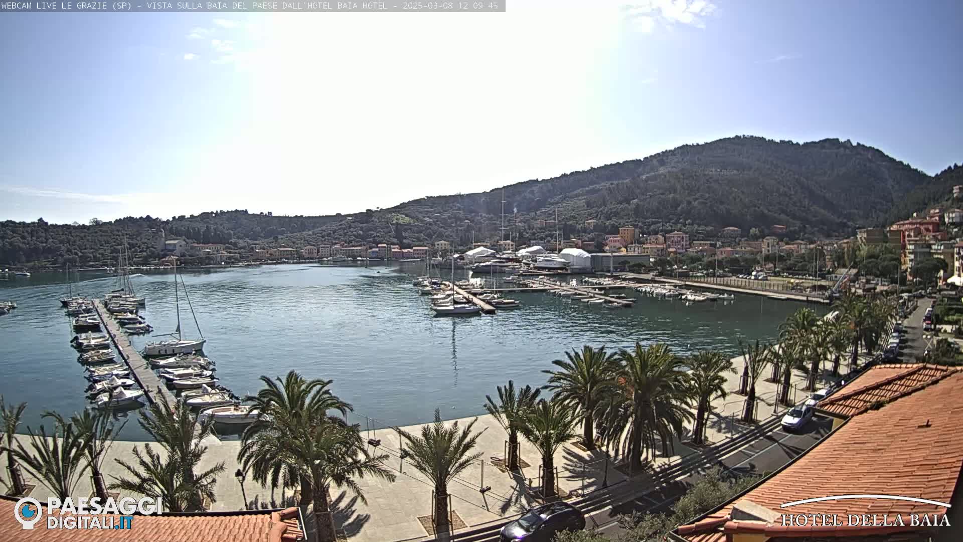 A harbor filled with boats is seen from an elevated vantage point on a sunny day, with palm trees lining a paved walkway along the waterfront and hills in the background.