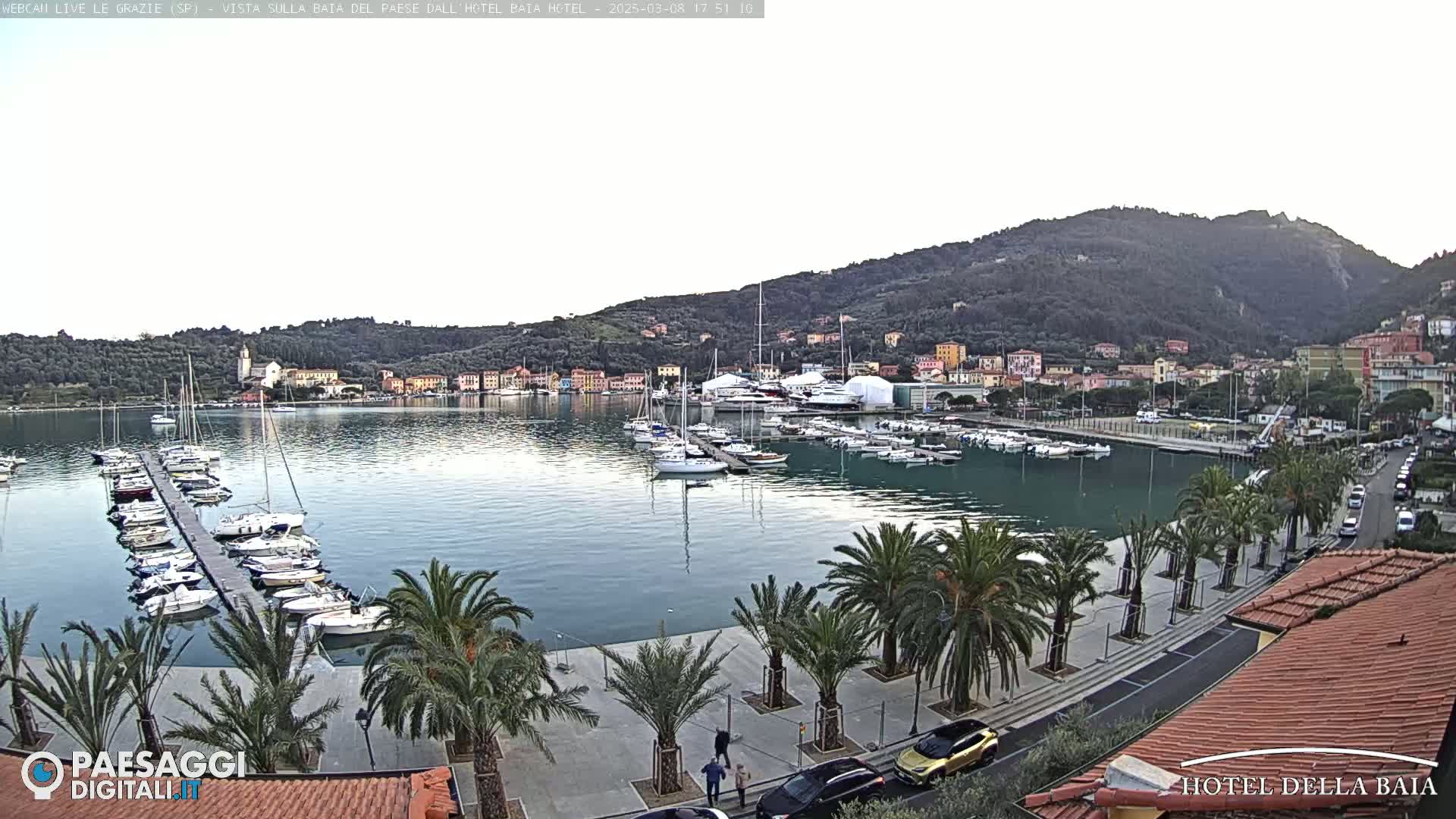 A calm harbor filled with boats is seen from an elevated vantage point, under a mostly clear sky, with palm trees lining a paved walkway along the waterfront and a hillside town in the background.