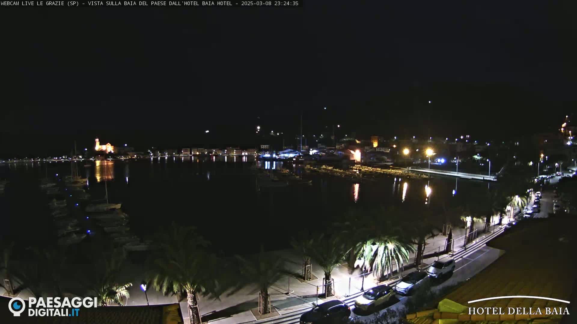 A nighttime view of a harbor with boats moored, a town lit up across the water, and a palm-tree-lined street along the waterfront.