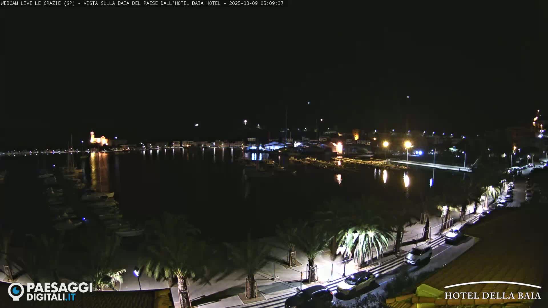 A nighttime view of a harbor with boats and illuminated buildings, palm trees lining a waterfront road with parked cars under a clear, dark sky.