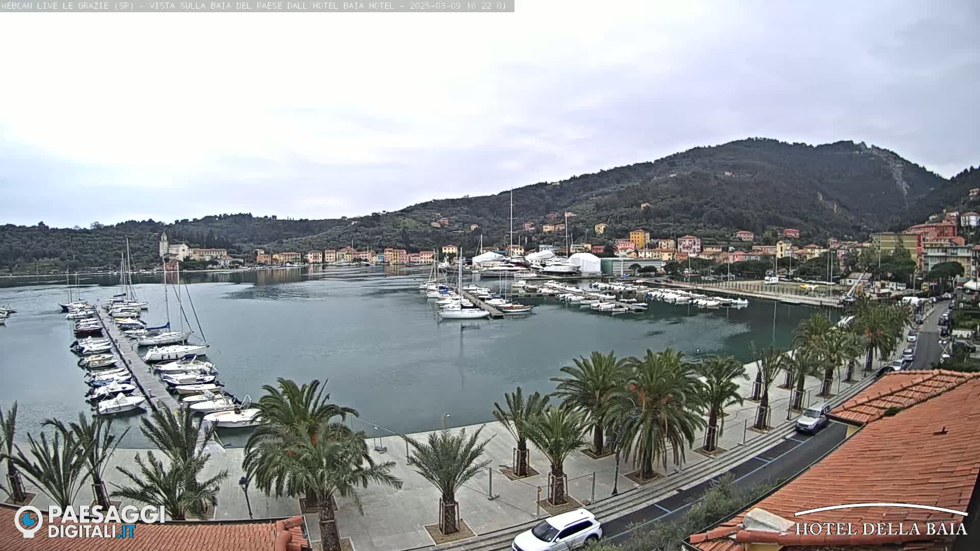 A harbor filled with numerous sailboats and yachts is nestled against a hillside town under an overcast sky.