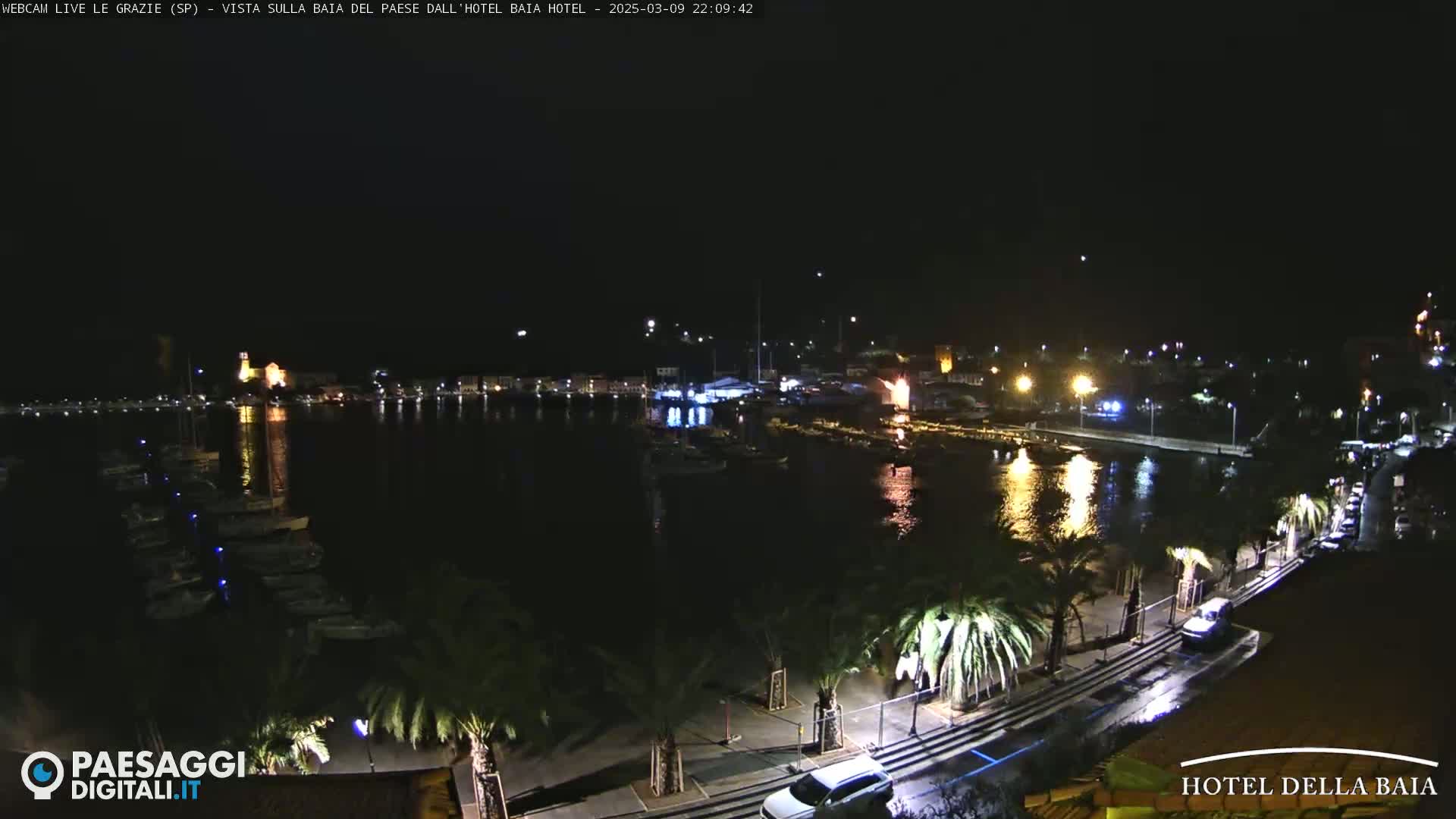 A nighttime view of a harbor filled with boats, a town with lights, and palm trees lining a roadway.