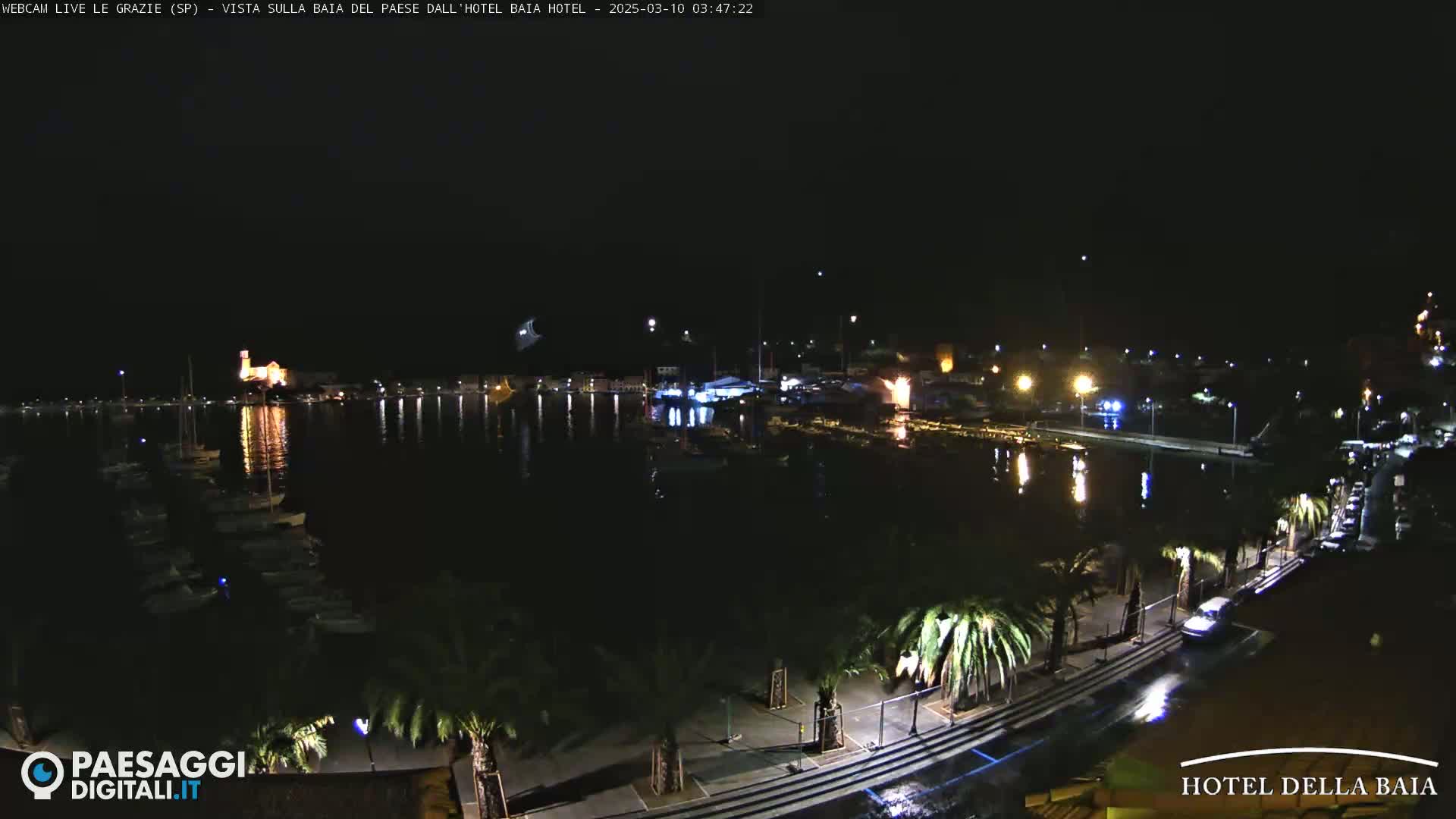 A nighttime view of a harbor with boats, buildings, and palm trees lining a wet roadway.