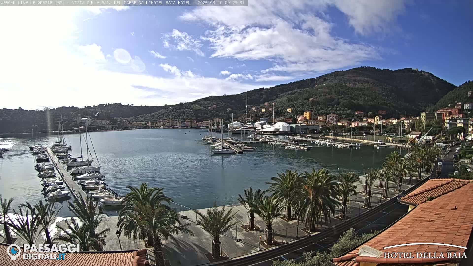 A harbor filled with sailboats and yachts is nestled beside a town built on a hillside under a partly cloudy sky.