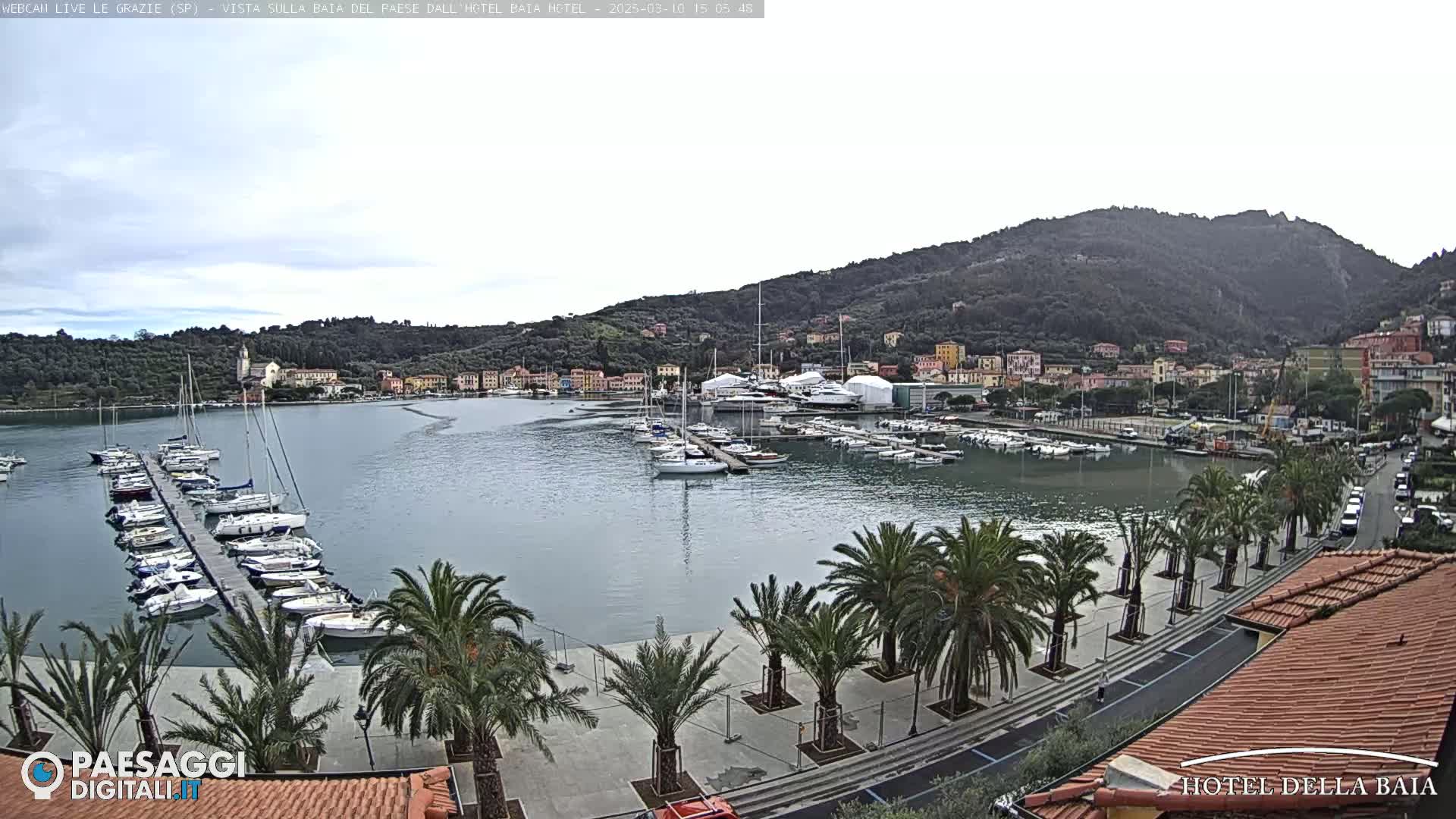 A harbor filled with sailboats and yachts is nestled beside a town at the foot of a mountain on an overcast day.