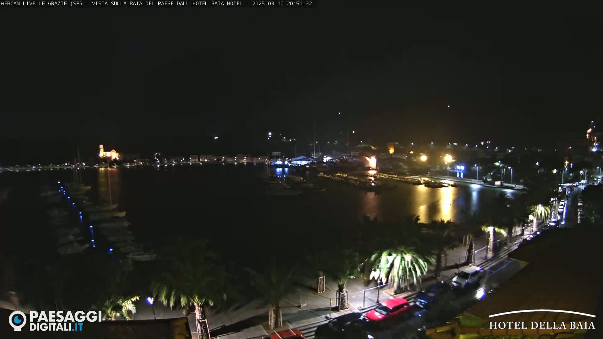 A nighttime view of a harbor with boats docked, a town illuminated with lights, and palm trees lining a roadway.