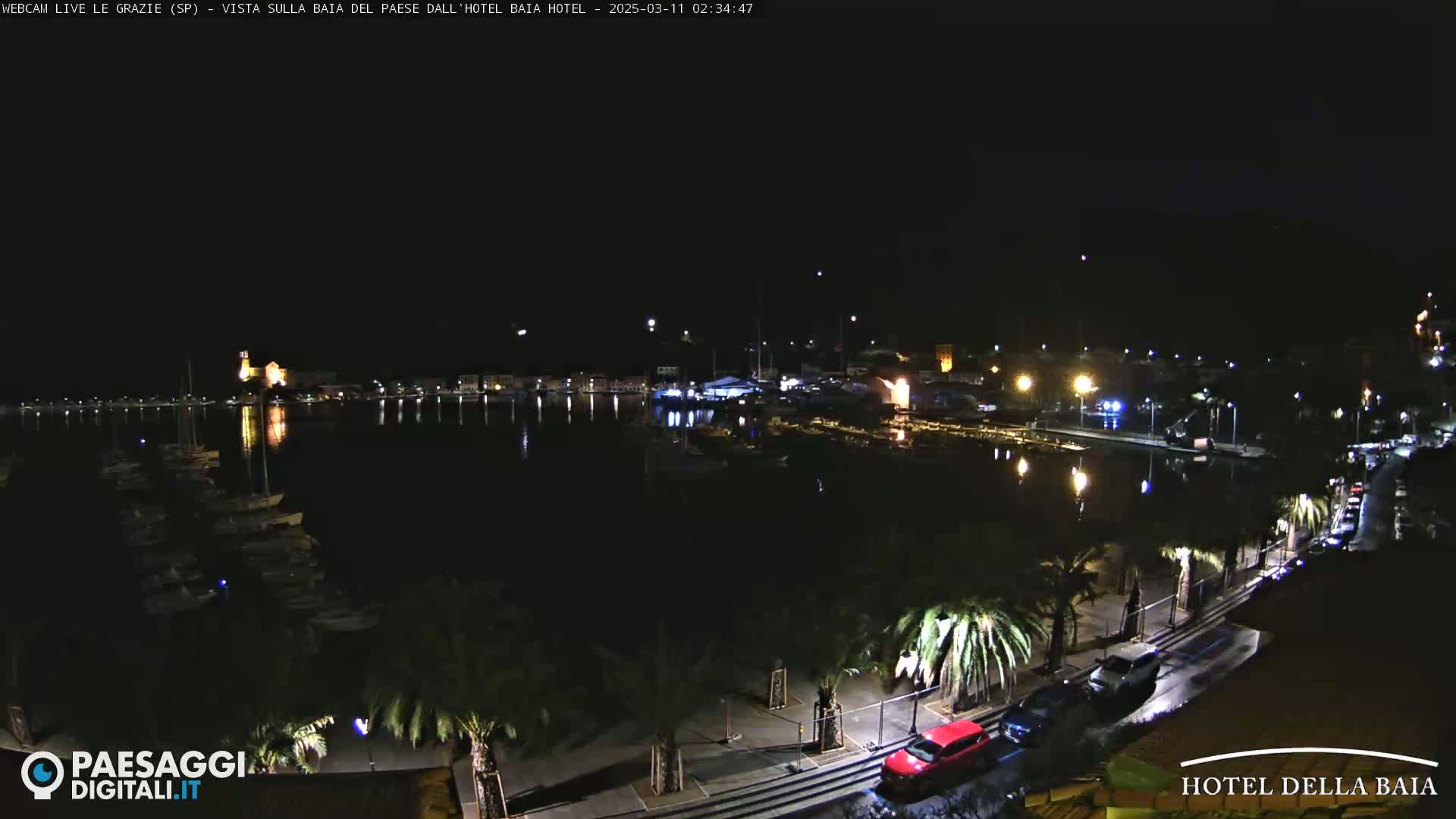 A nighttime view of a harbor filled with boats, lined by palm trees and a roadway with a few cars, under a clear, dark sky.