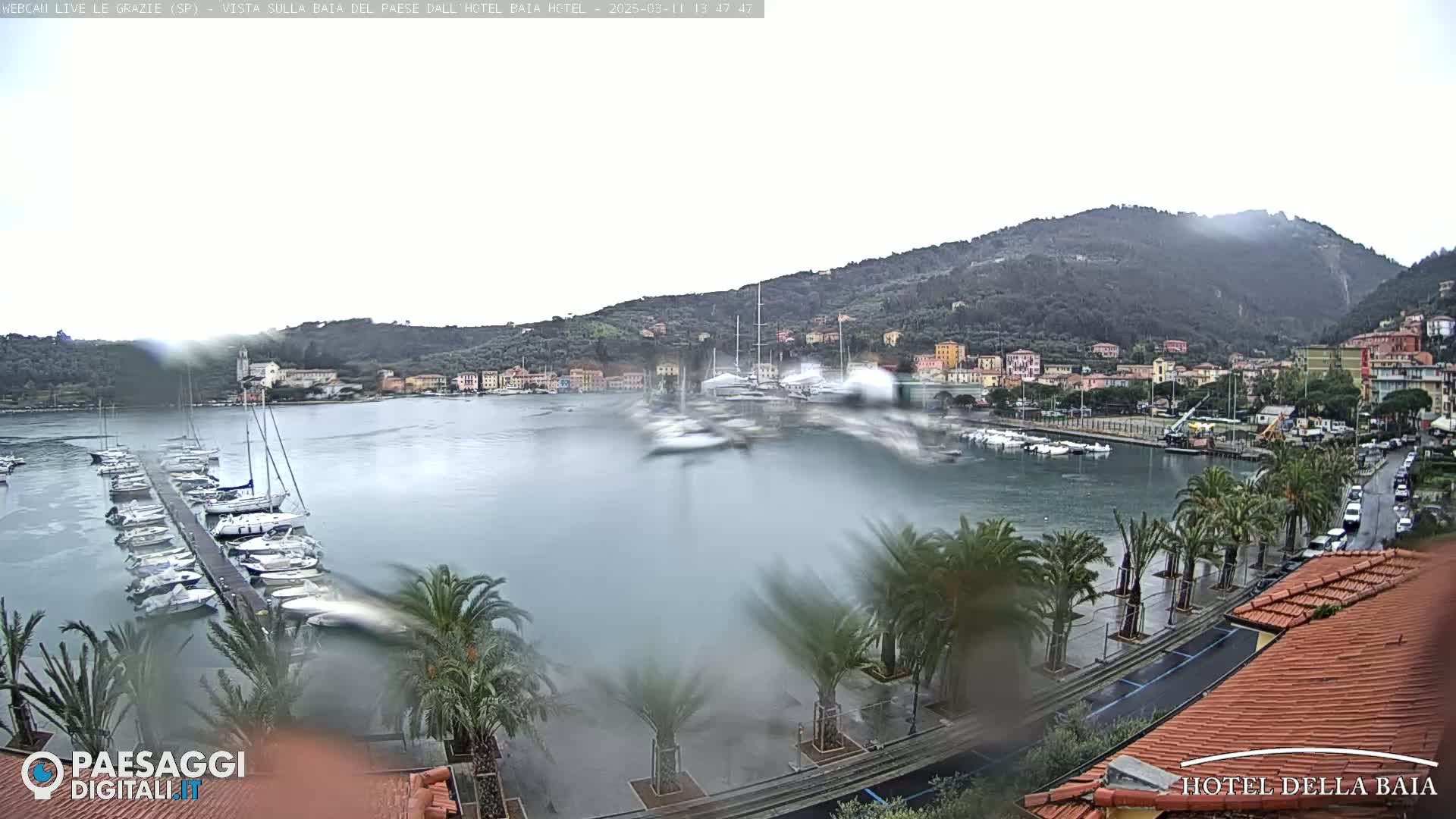 A rain-swept harbor town nestled beneath a hillside, with boats moored at a pier and palm trees lining a wet roadway.