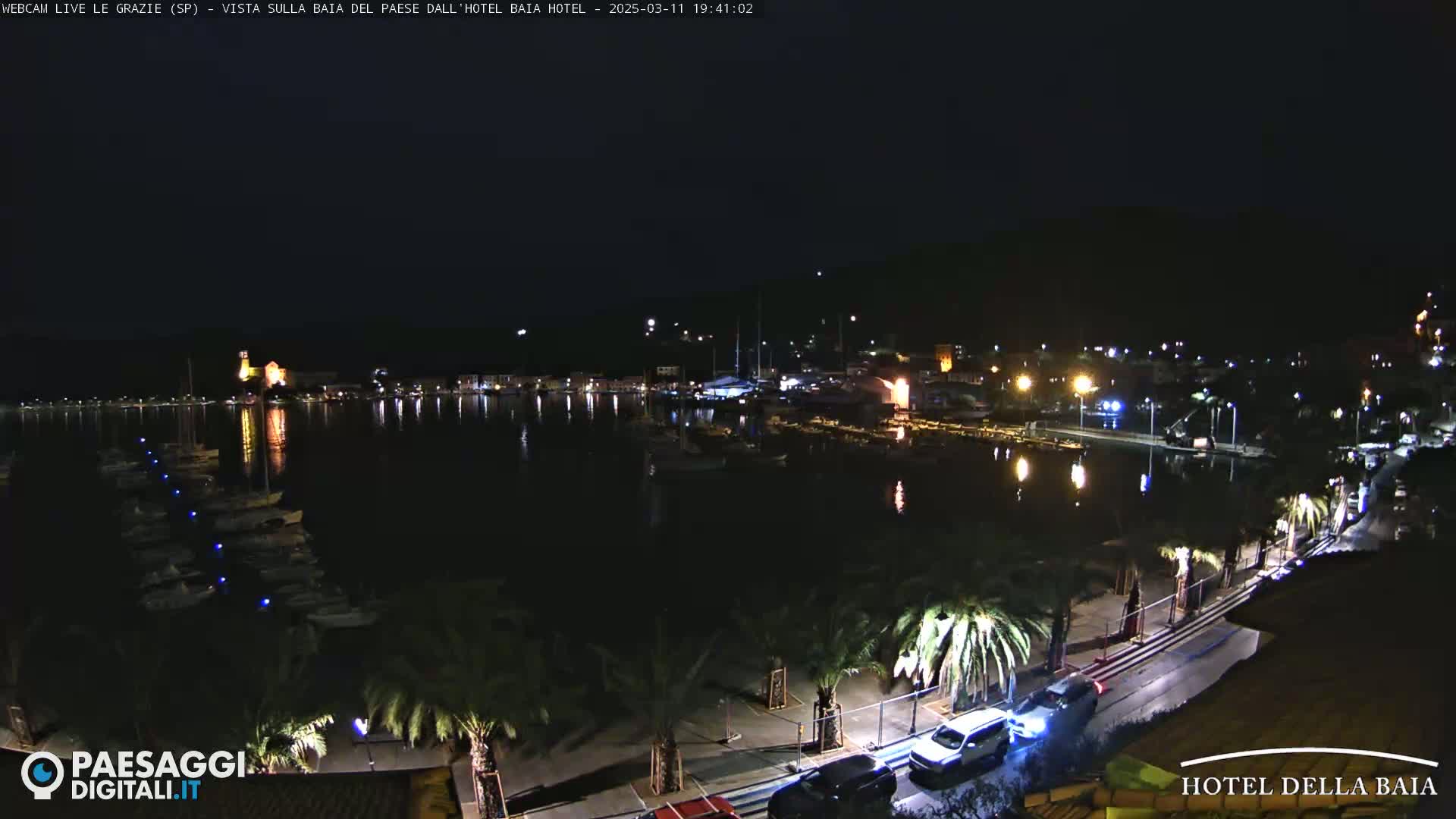 A nighttime view of a calm harbor with boats, illuminated buildings along the shoreline, and palm trees lining a roadway.