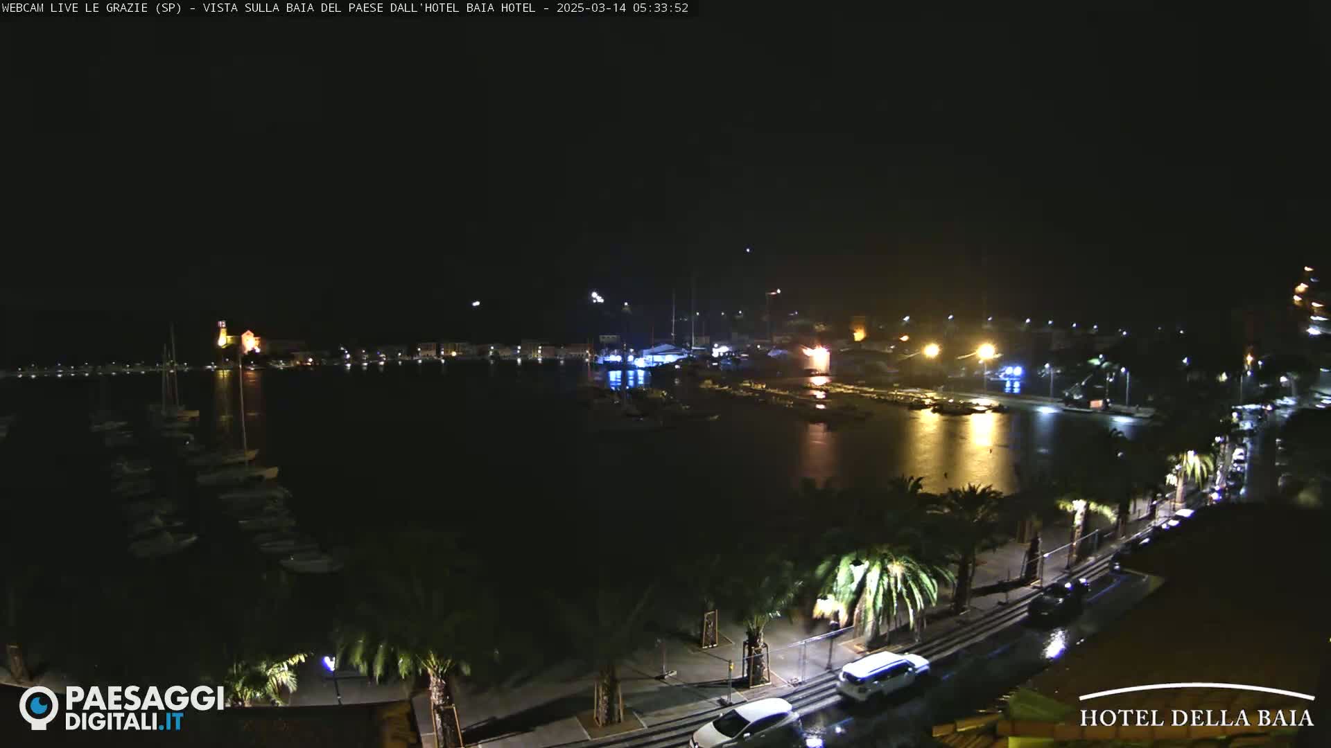 A nighttime view of a harbor filled with boats, a town with lights, and a palm tree-lined street, under a dark sky.