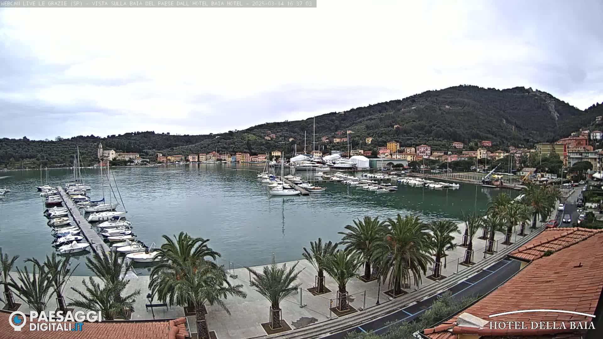 A harbor filled with sailboats and yachts is nestled between a hillside town and a palm tree-lined promenade under an overcast sky.