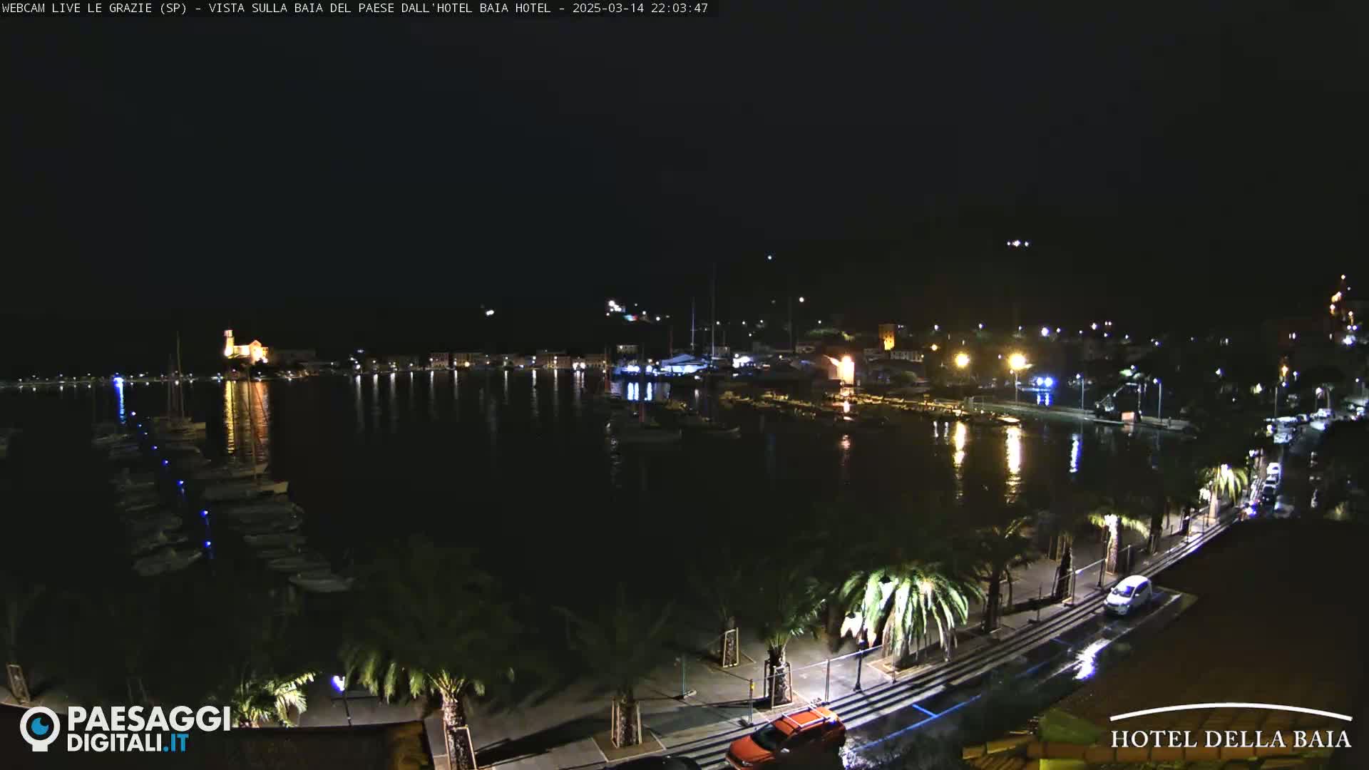 A nighttime view of a harbor with boats and palm trees lining a waterfront road, under a clear sky.