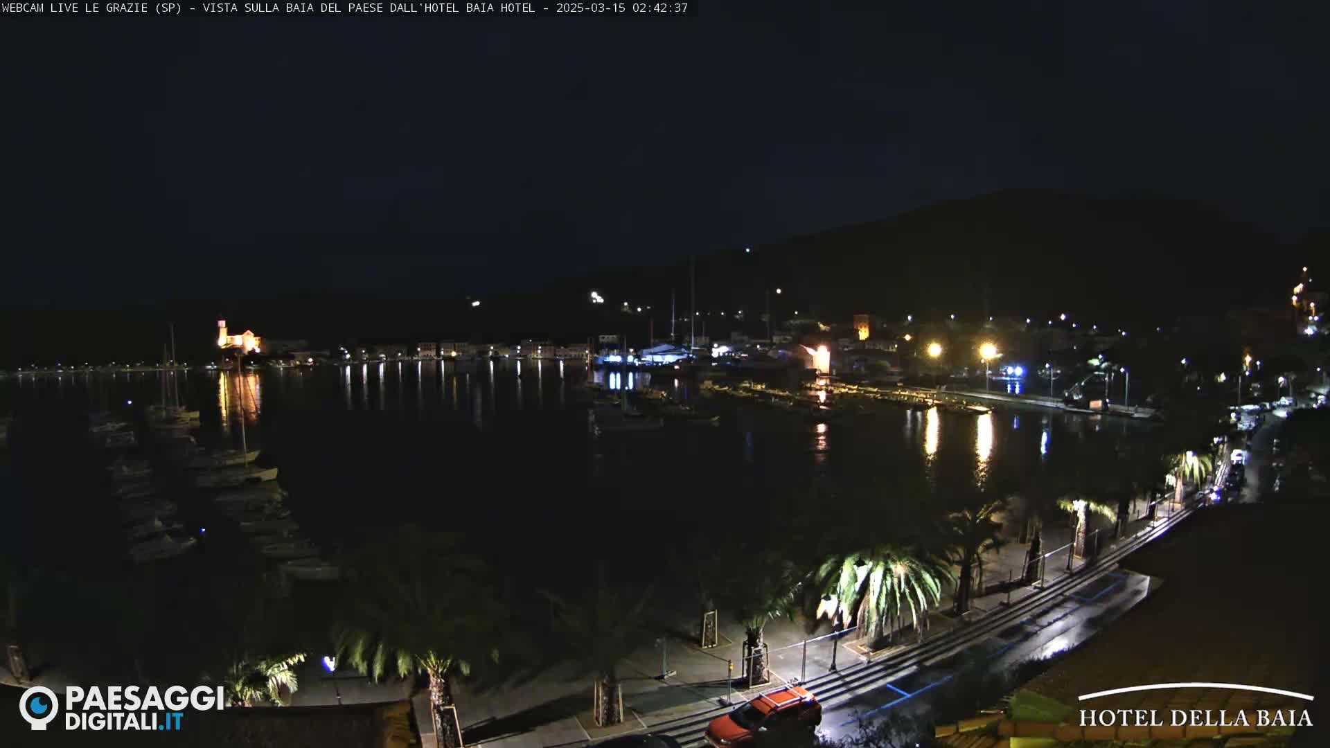 A nighttime view of a harbor filled with boats, lined with palm trees and lit buildings, under a clear, dark sky.