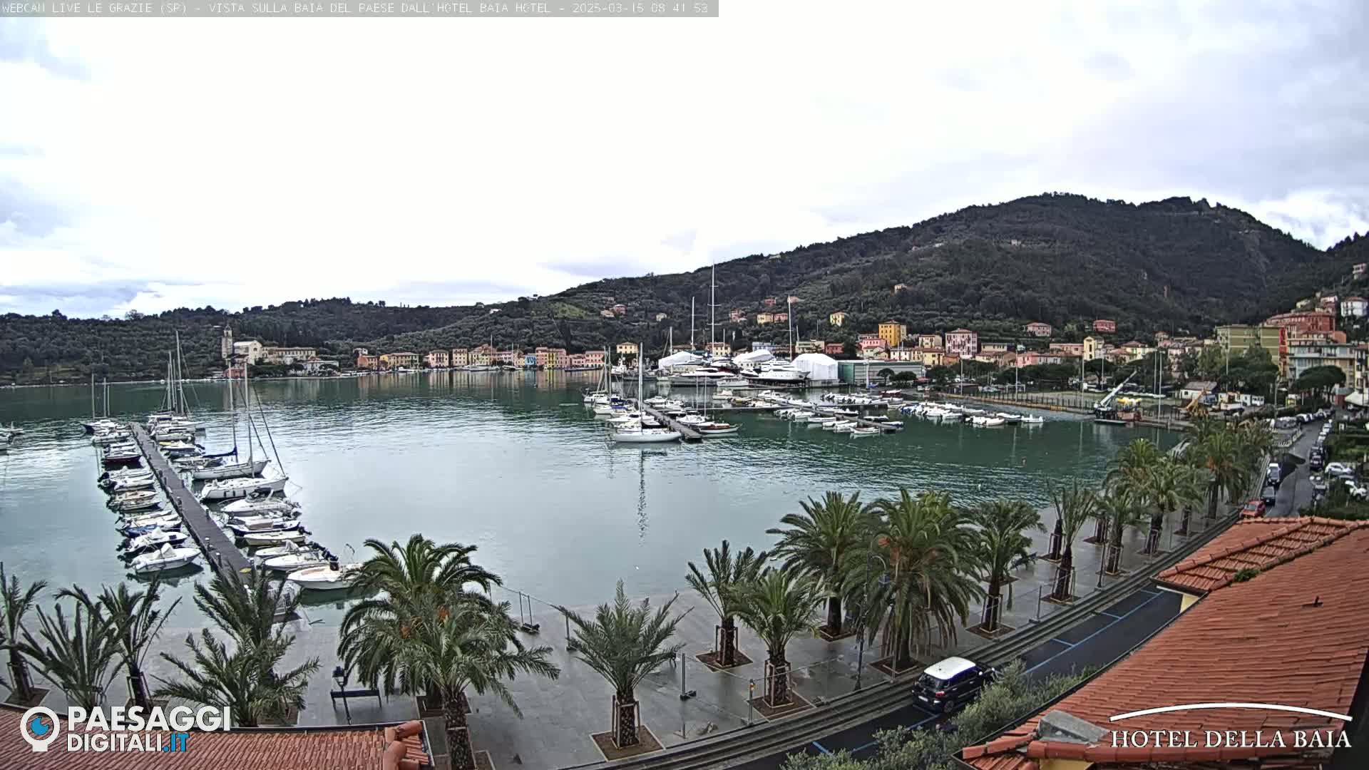 A harbor filled with sailboats is nestled beside a town situated on a hillside, under a cloudy sky.