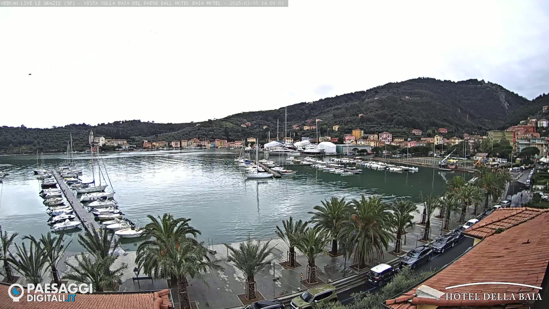A harbor filled with boats is nestled below a hillside town, under an overcast sky, with palm trees lining a paved waterfront area and cars parked along the road.