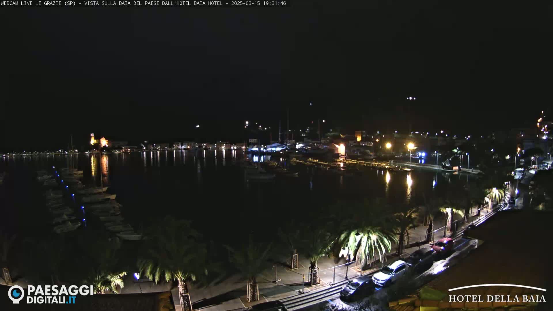 A nighttime view of a harbor with boats, a town illuminated with lights, and palm trees lining a waterfront road.