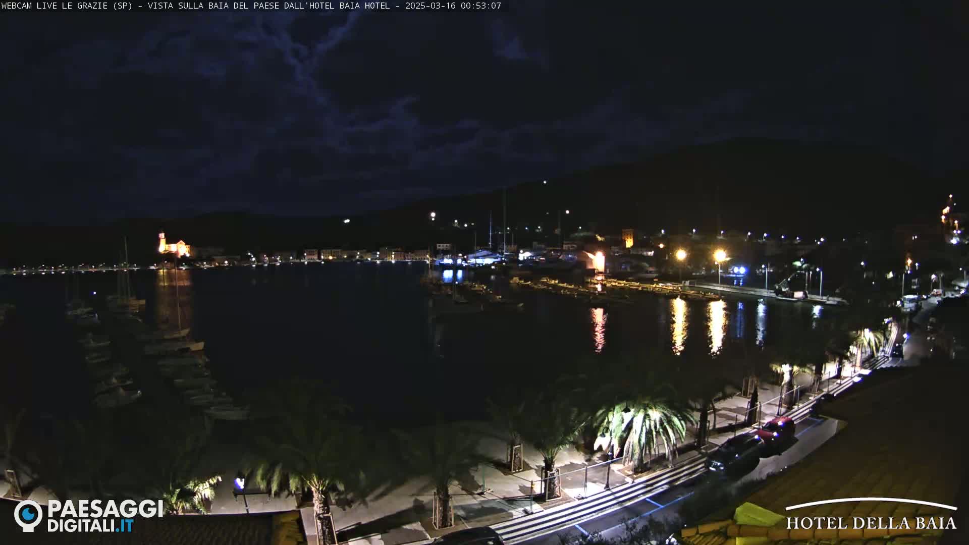 A nighttime view of a harbor filled with boats, a town with illuminated buildings, and a palm-tree-lined waterfront under a partly cloudy sky.