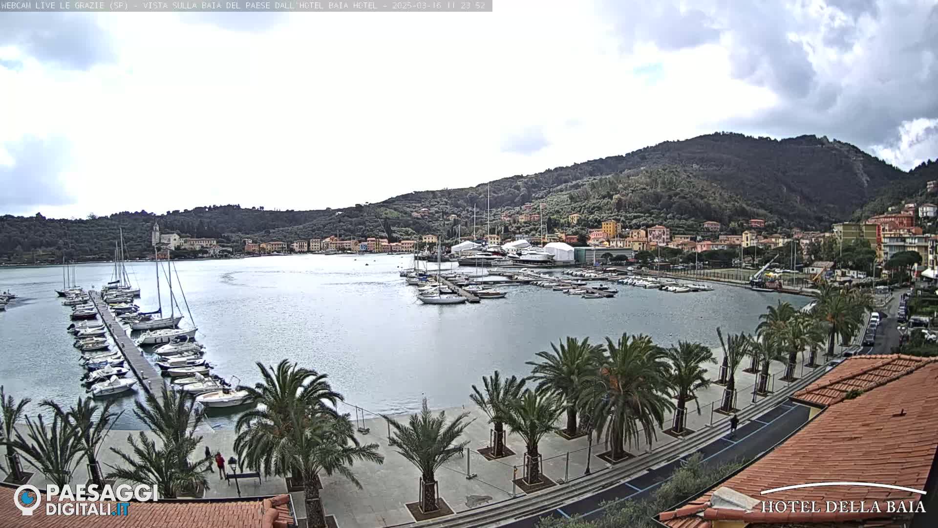 A harbor filled with sailboats and yachts is nestled between a waterfront promenade lined with palm trees and a hillside town under a cloudy sky.