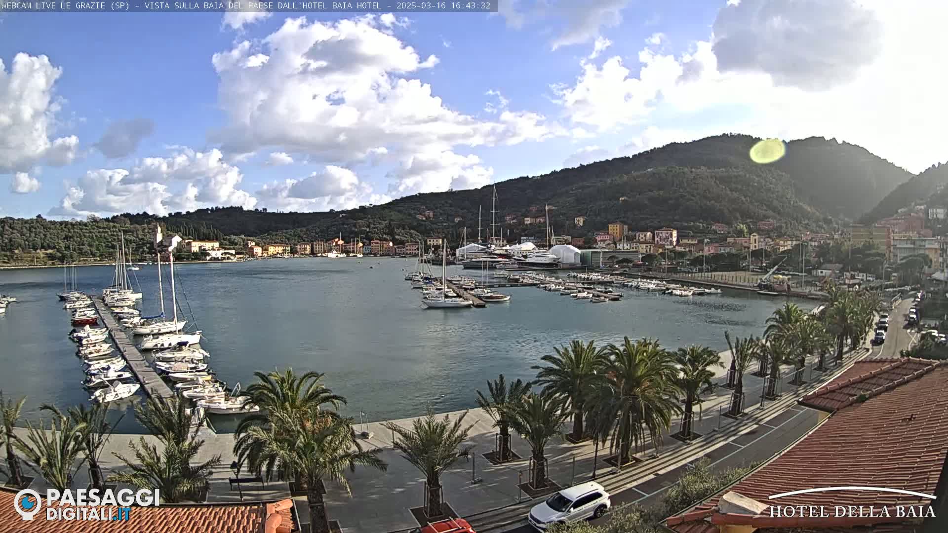 A harbor filled with sailboats and yachts is nestled between a town and a verdant hillside under a partly cloudy sky.